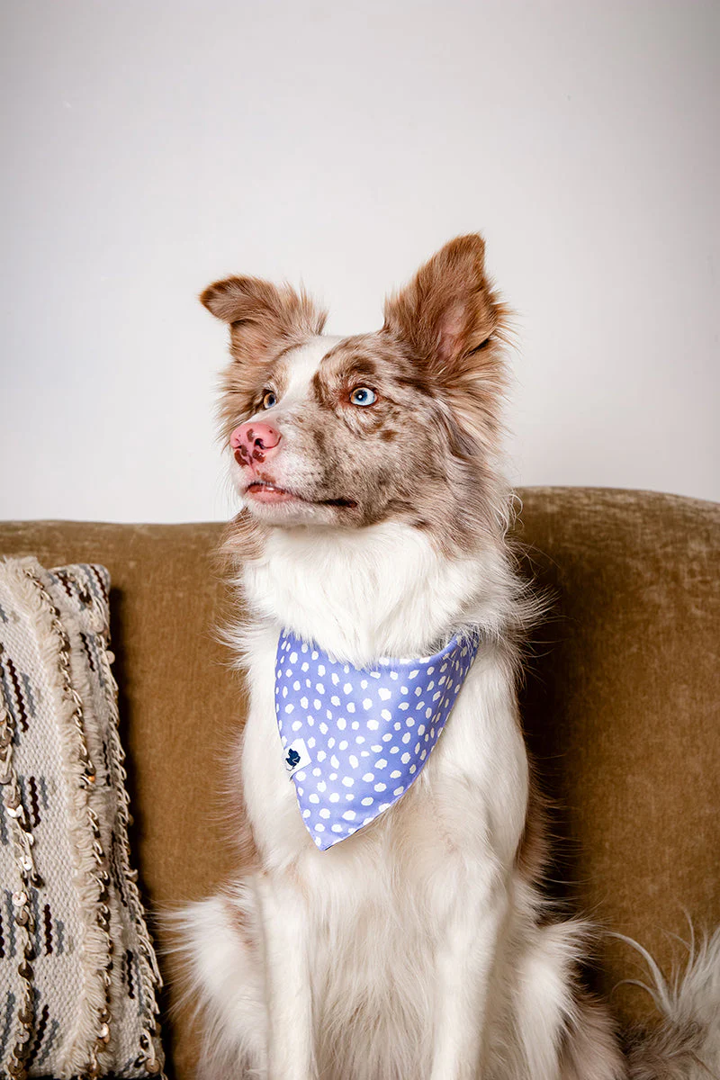 Lavender Dog Bandana - Image 5
