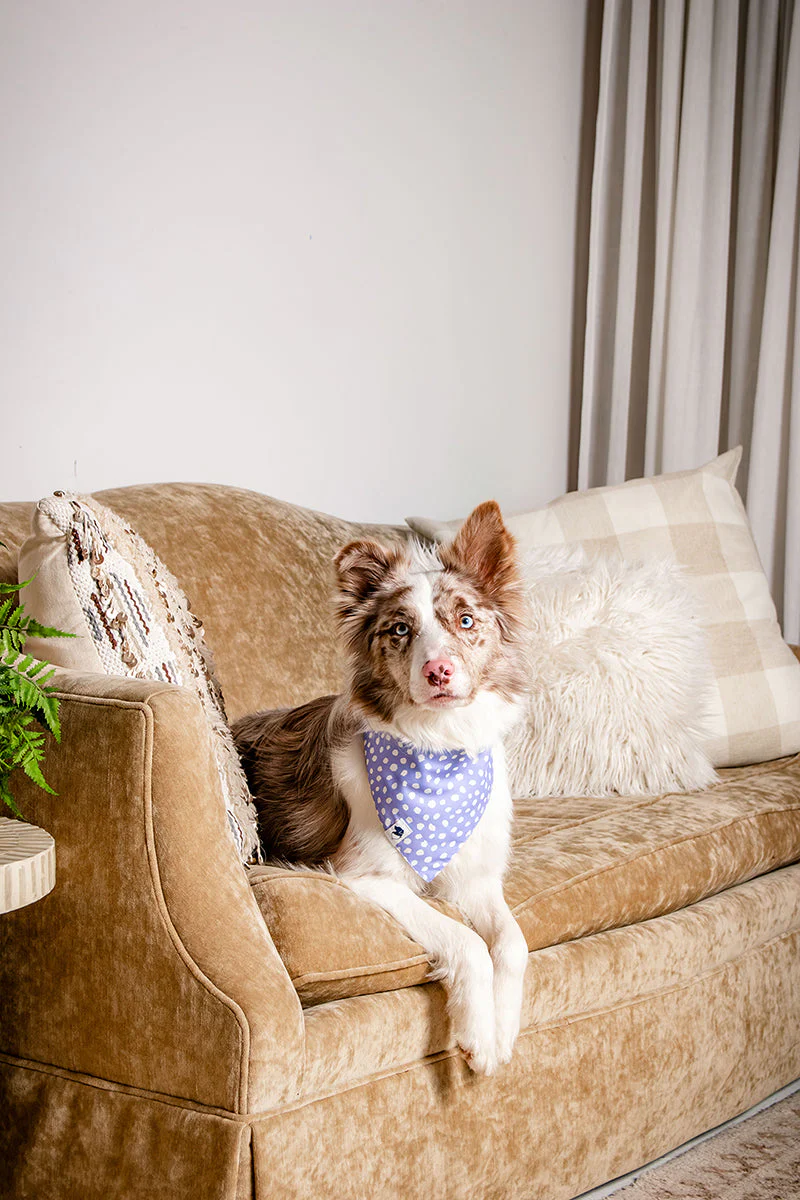Lavender Dog Bandana - Image 6