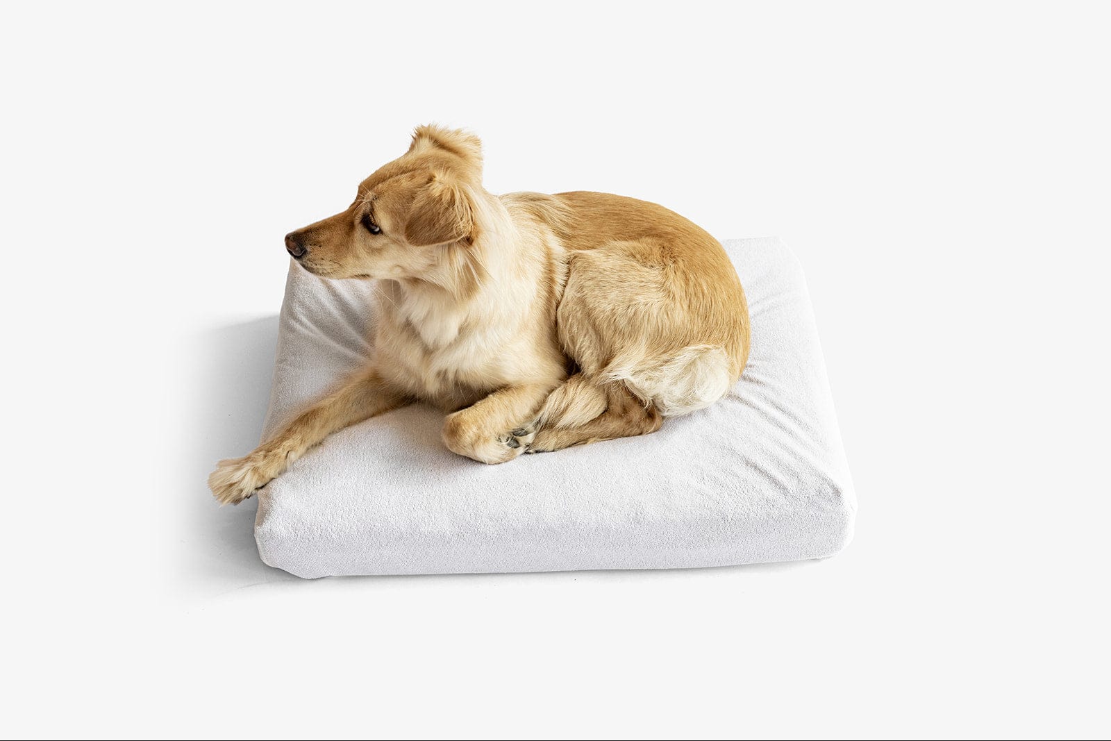 LAY LO Pets - Premium Waterproof Dog Bed Liner / DIY Mattress Stuff Sack - Image 5