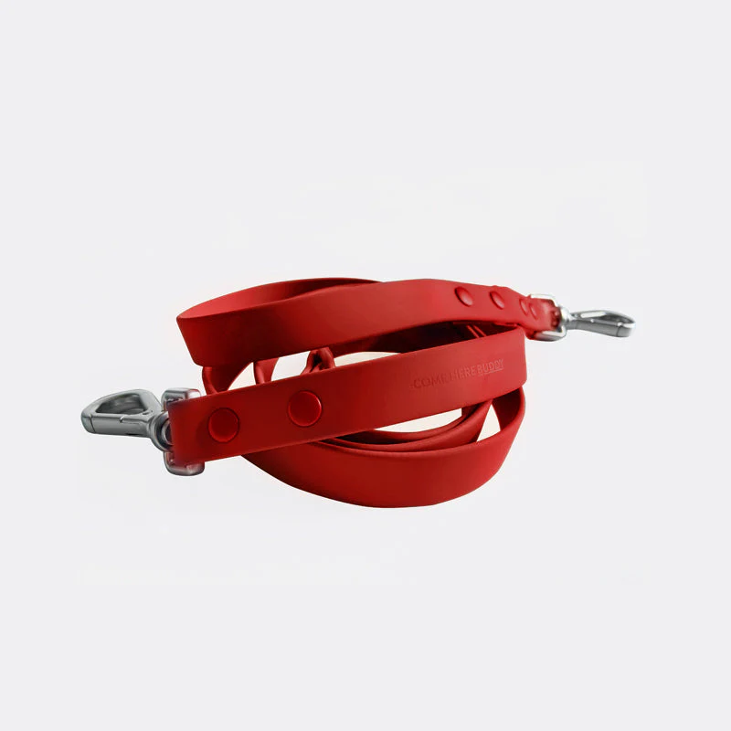 Leash - Image 2