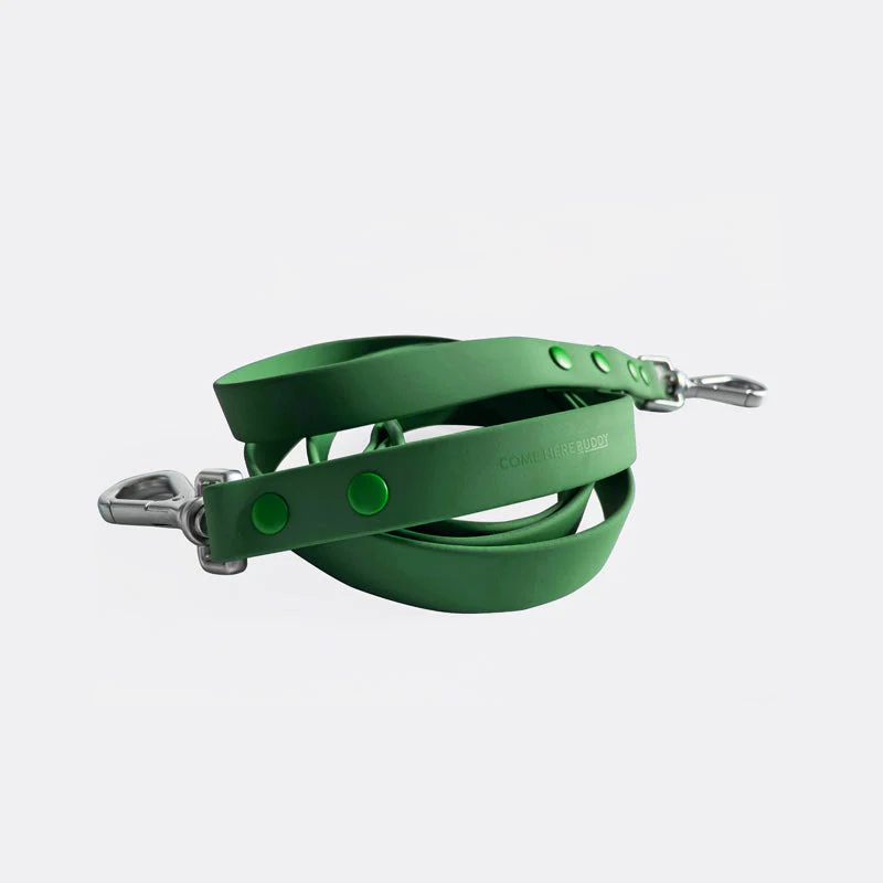Leash - Image 7