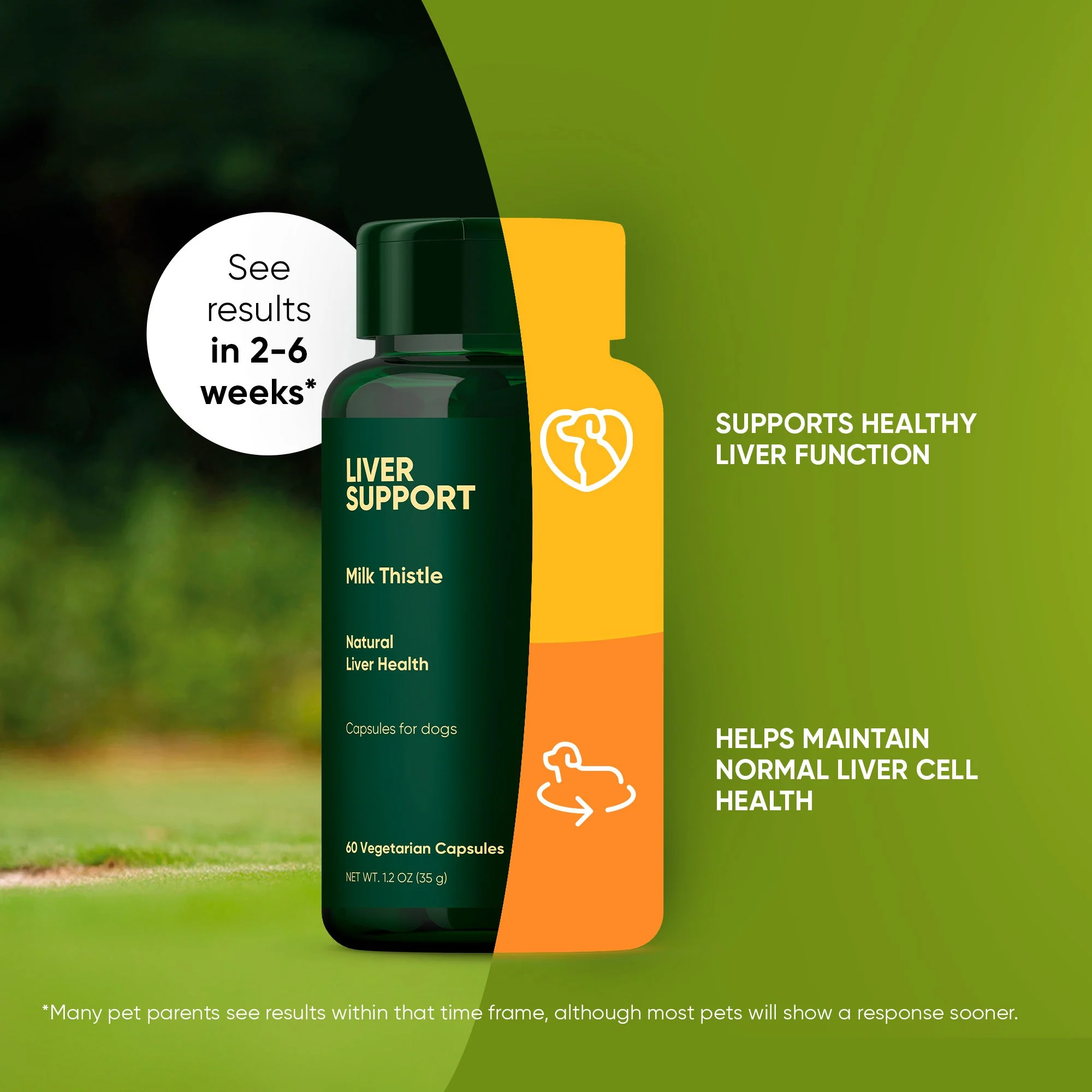 Liver Support - Image 22