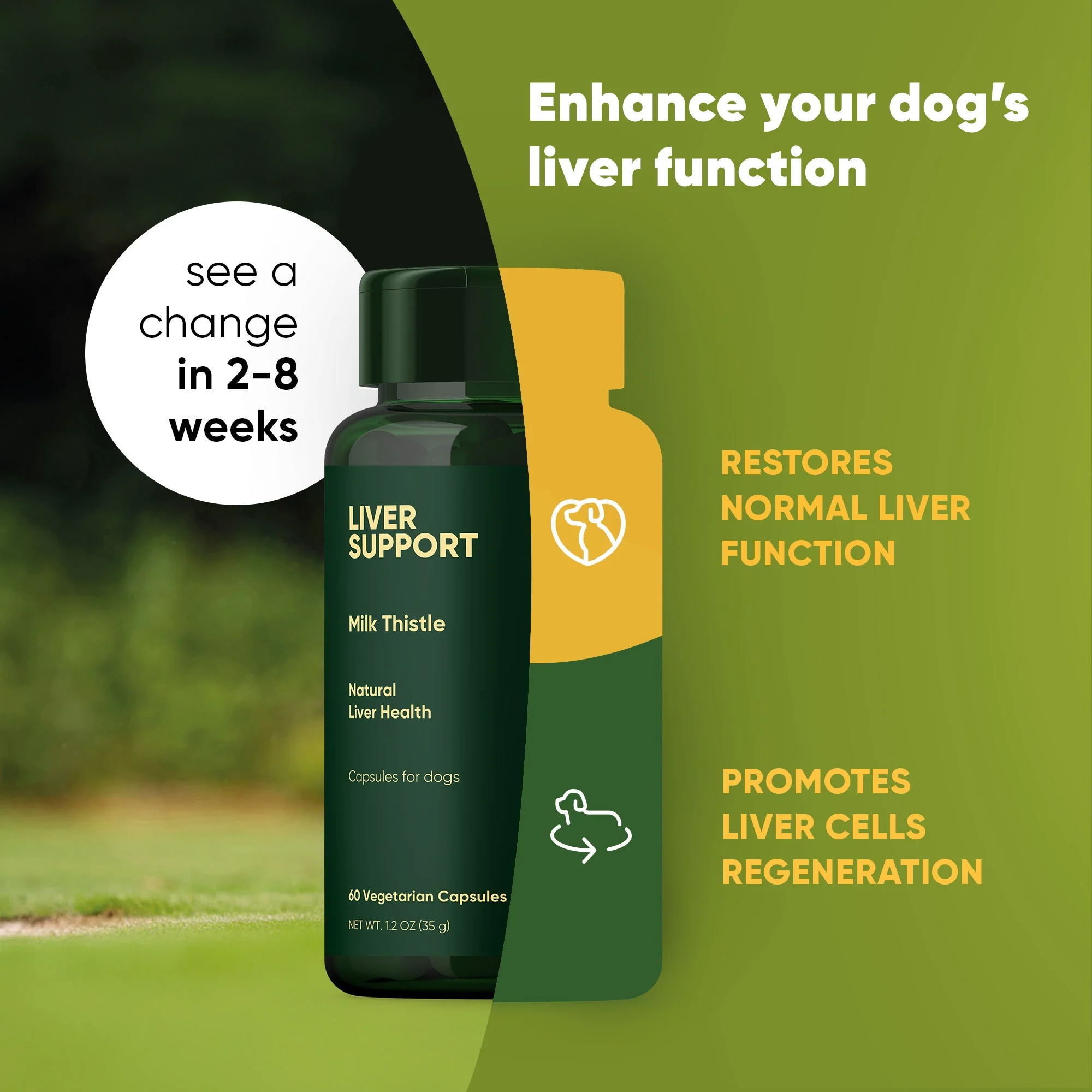 Liver Support - Image 3