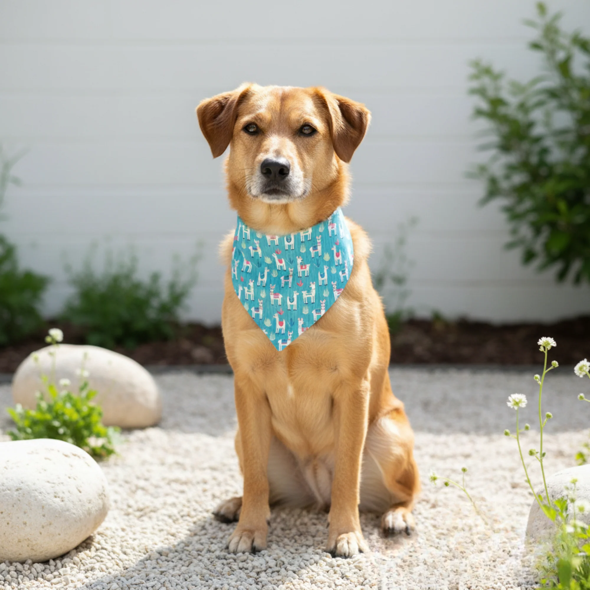 Llama Dog Bandana - Image 2
