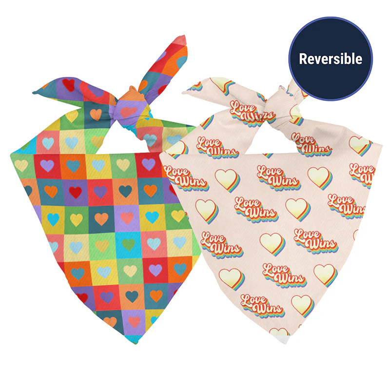 Love Wins Dog Bandana - Image 2