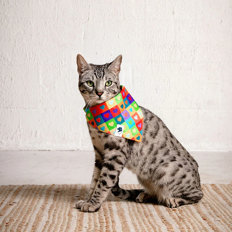 Love Wins Dog Bandana - Image 7