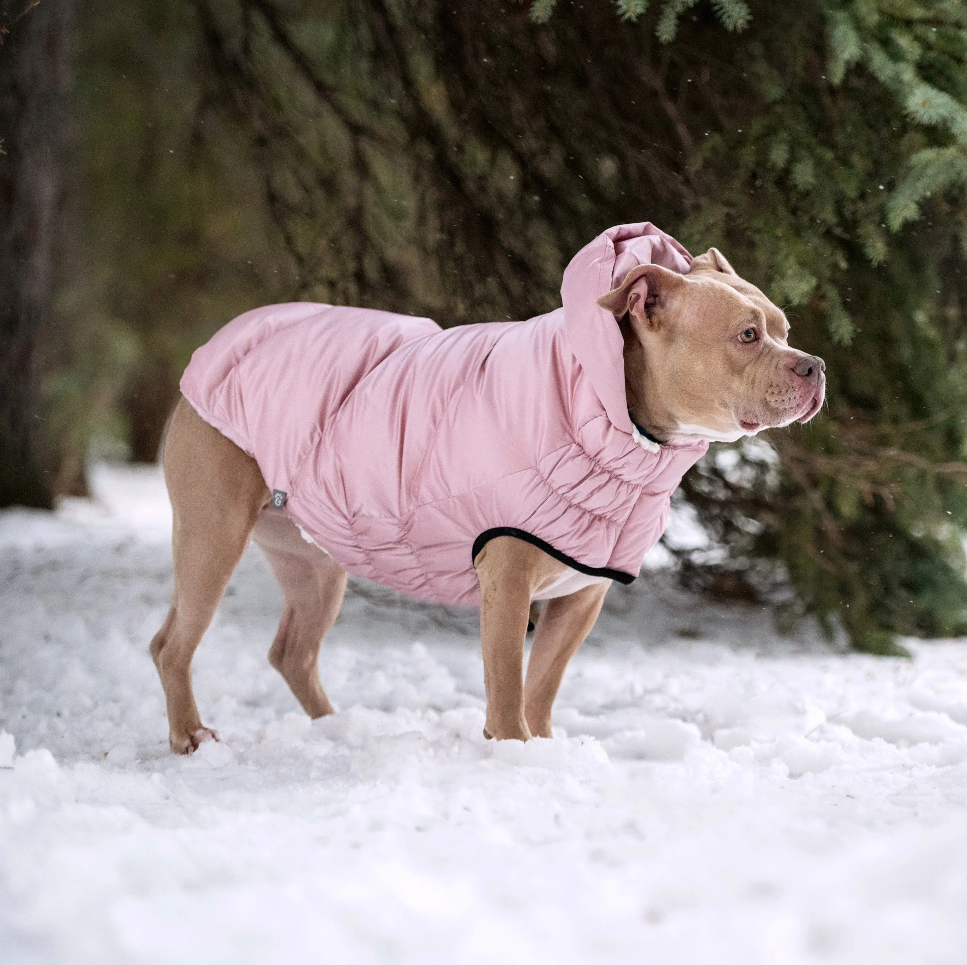 Lunar Glow Parka - Image 12