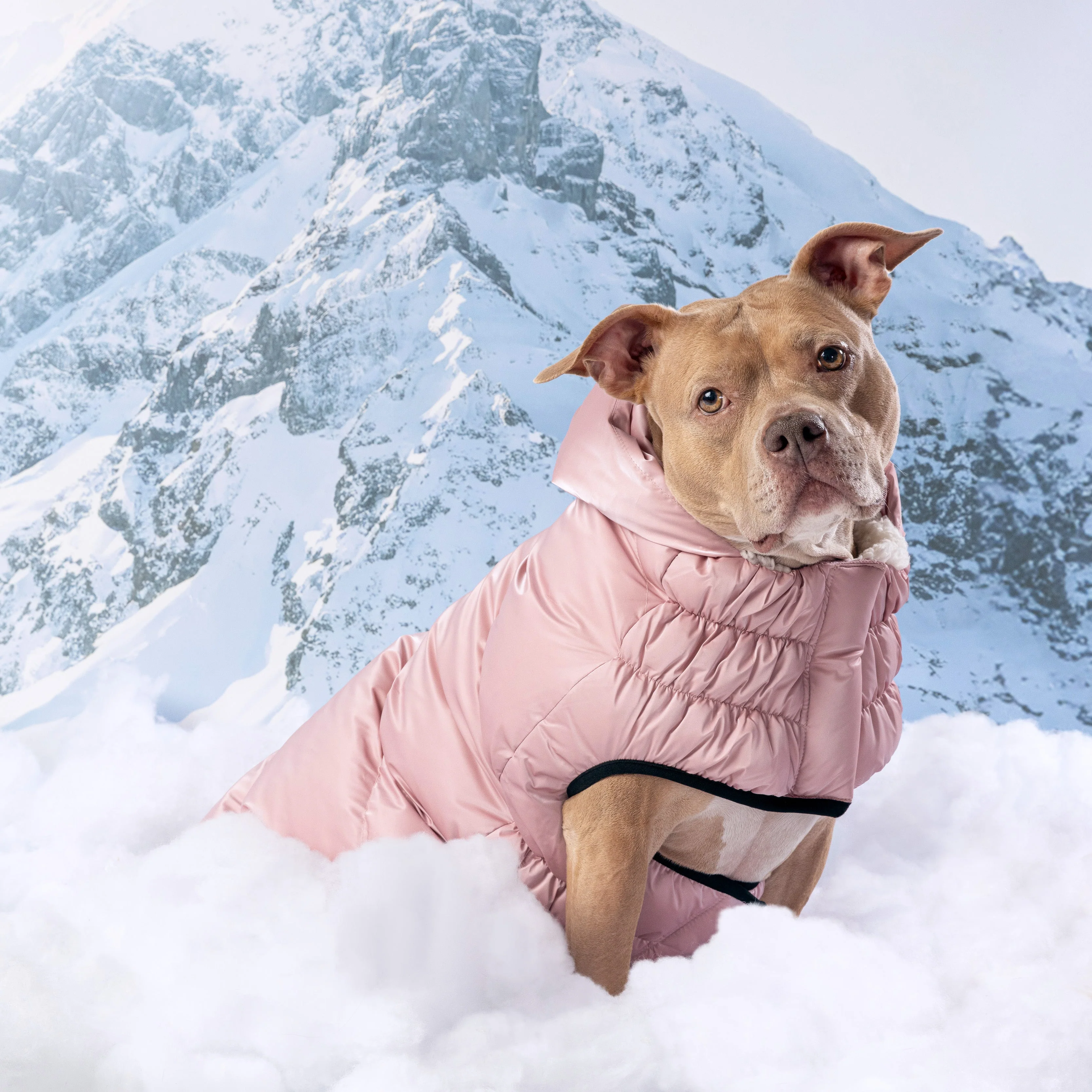 Lunar Glow Parka - Image 13