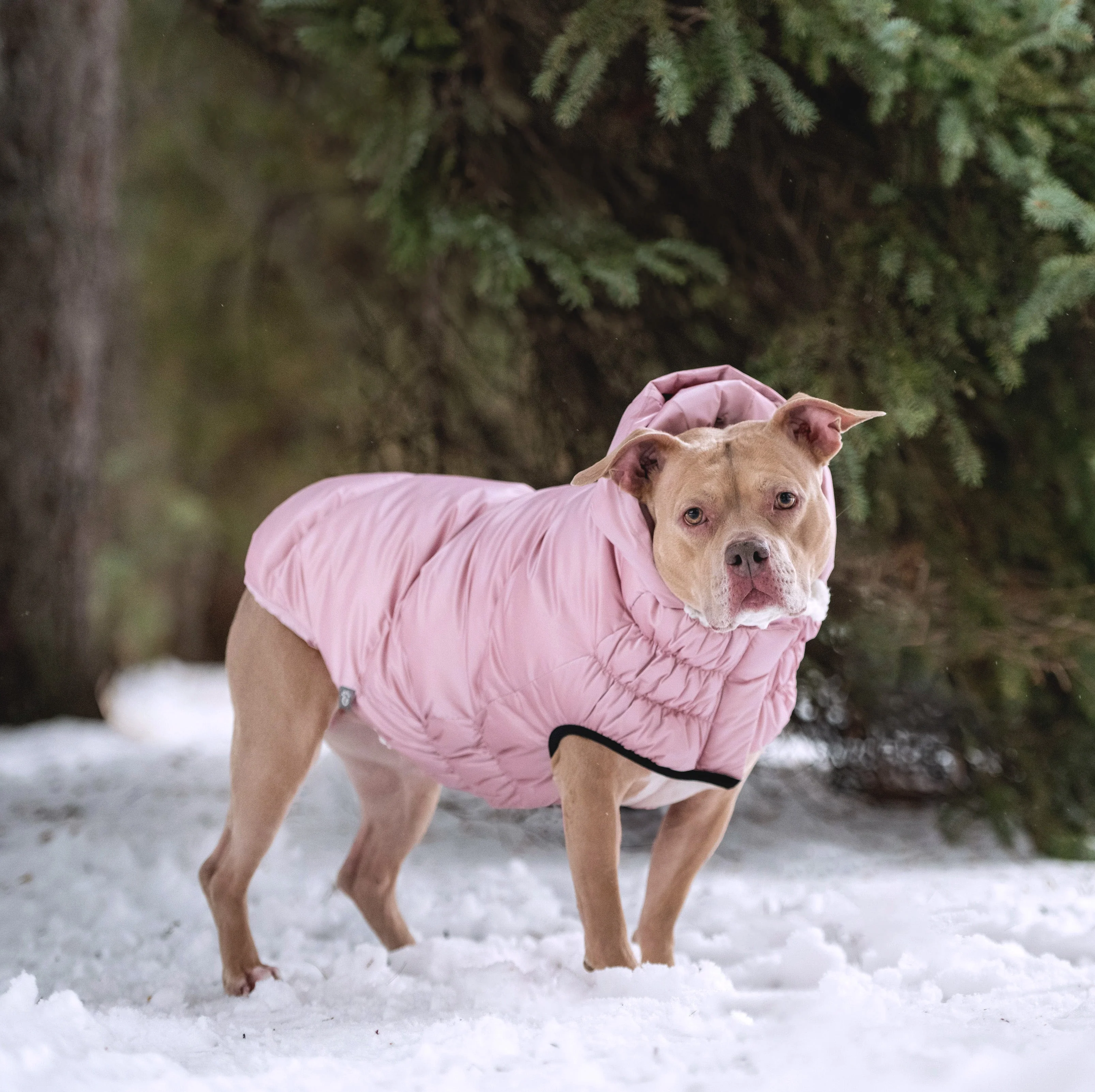 Lunar Glow Parka - Image 14