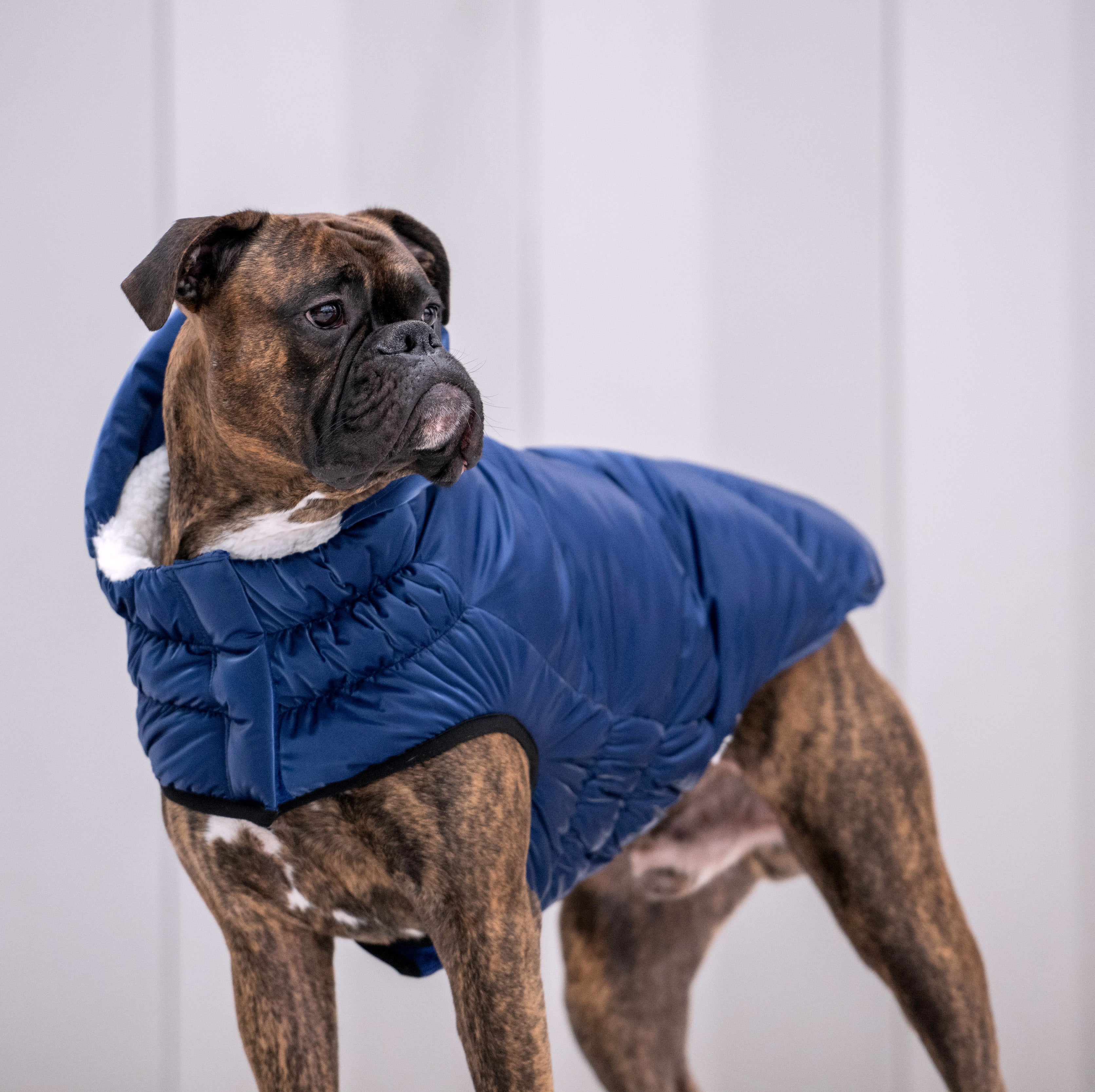 Lunar Glow Parka - Image 5