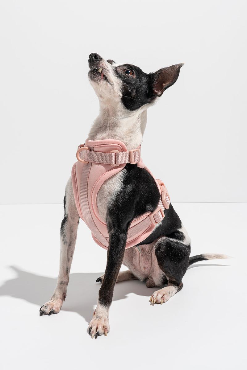 Luxe Harness - Image 8