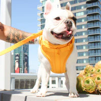 Luxe Harness - Palma - Image 3