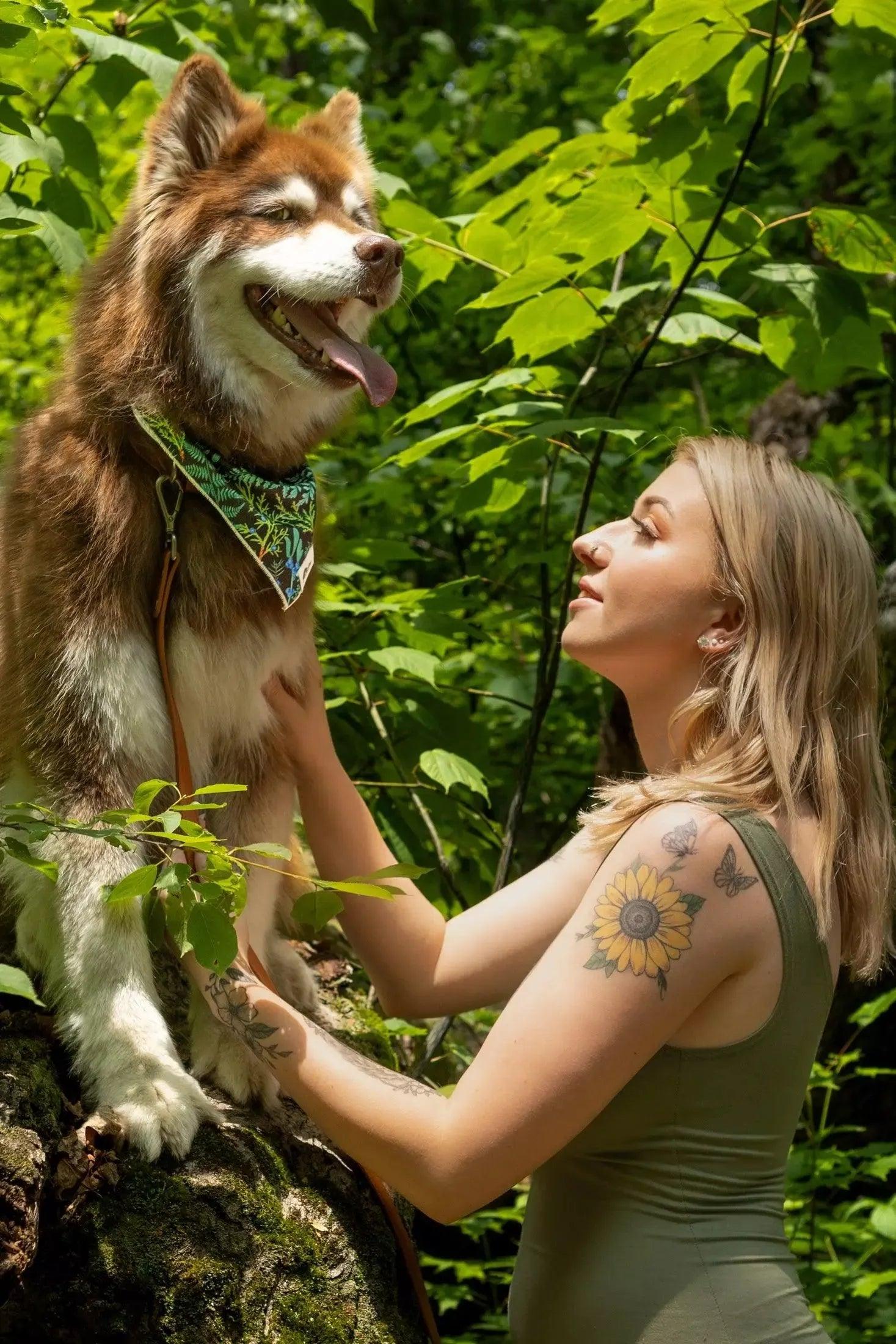 Magical Fern Forest Dog Bandana - Image 3