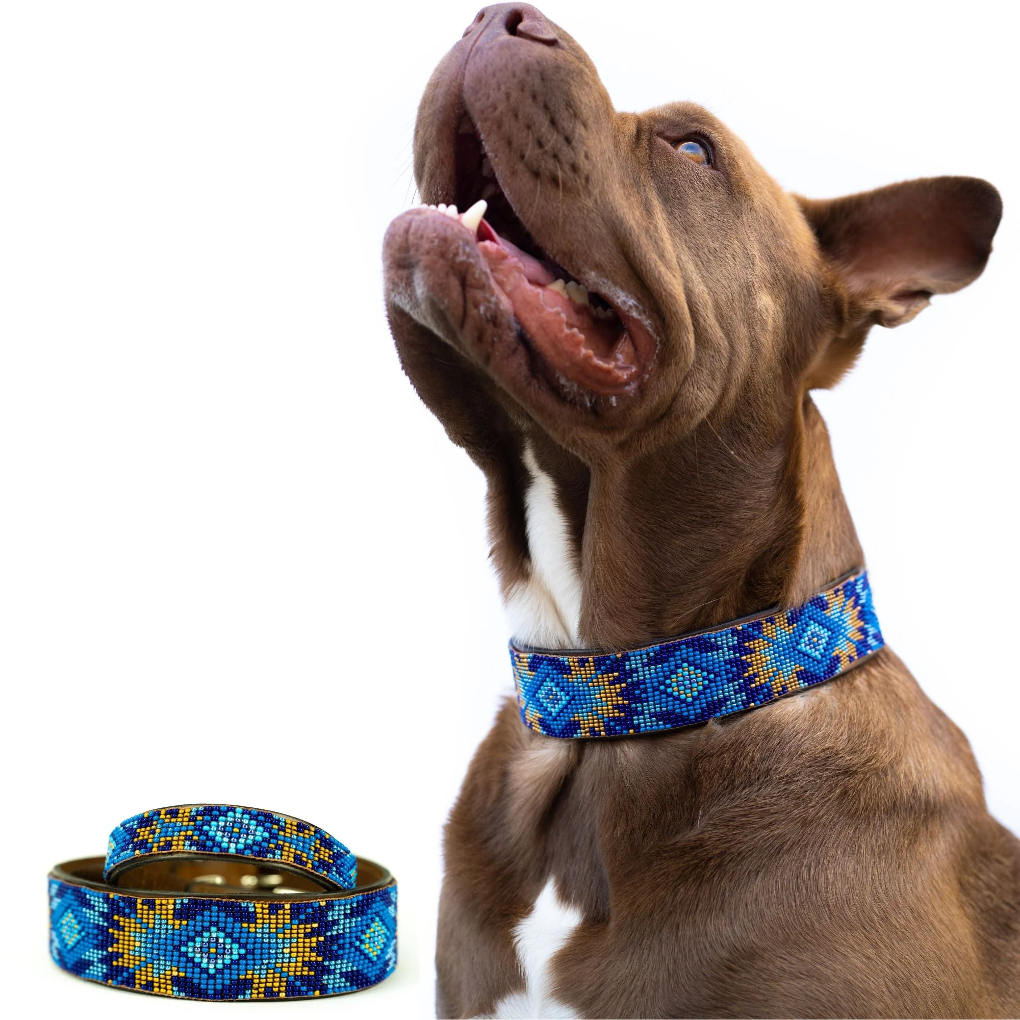 Maldives Sambboho dog collar (Glam Collection) - Image 4