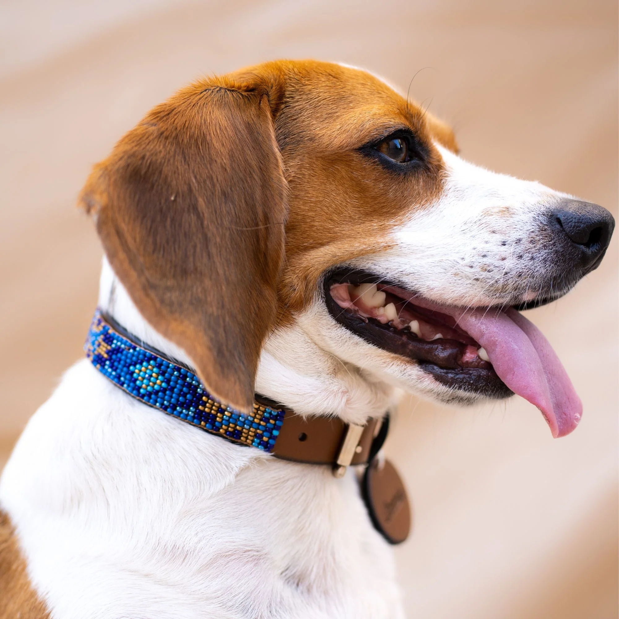 Maldives Sambboho dog collar (Glam Collection) - Image 5