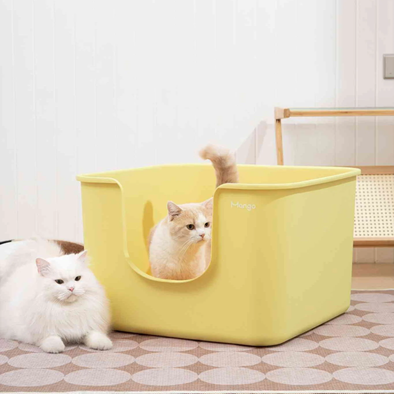 Mango Cube Litter Box XXL (Double Extra Large) - Image 6