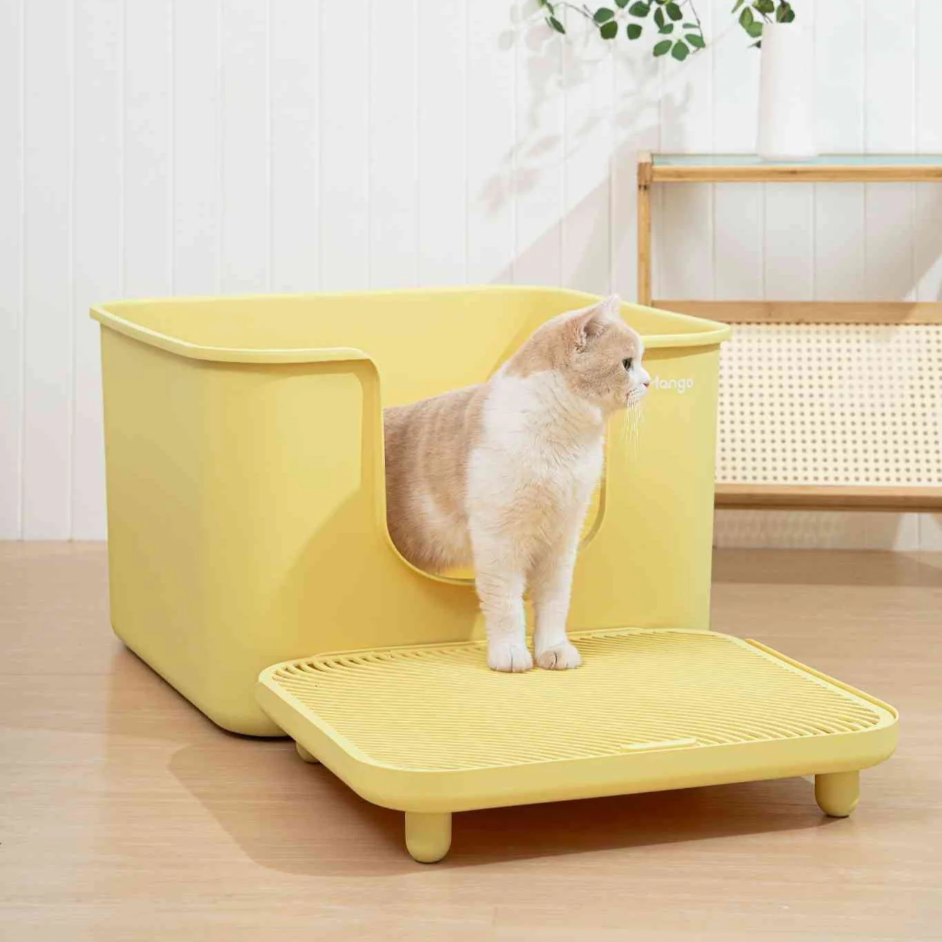 Mango Cube Litter Box XXL (Double Extra Large) - Image 7