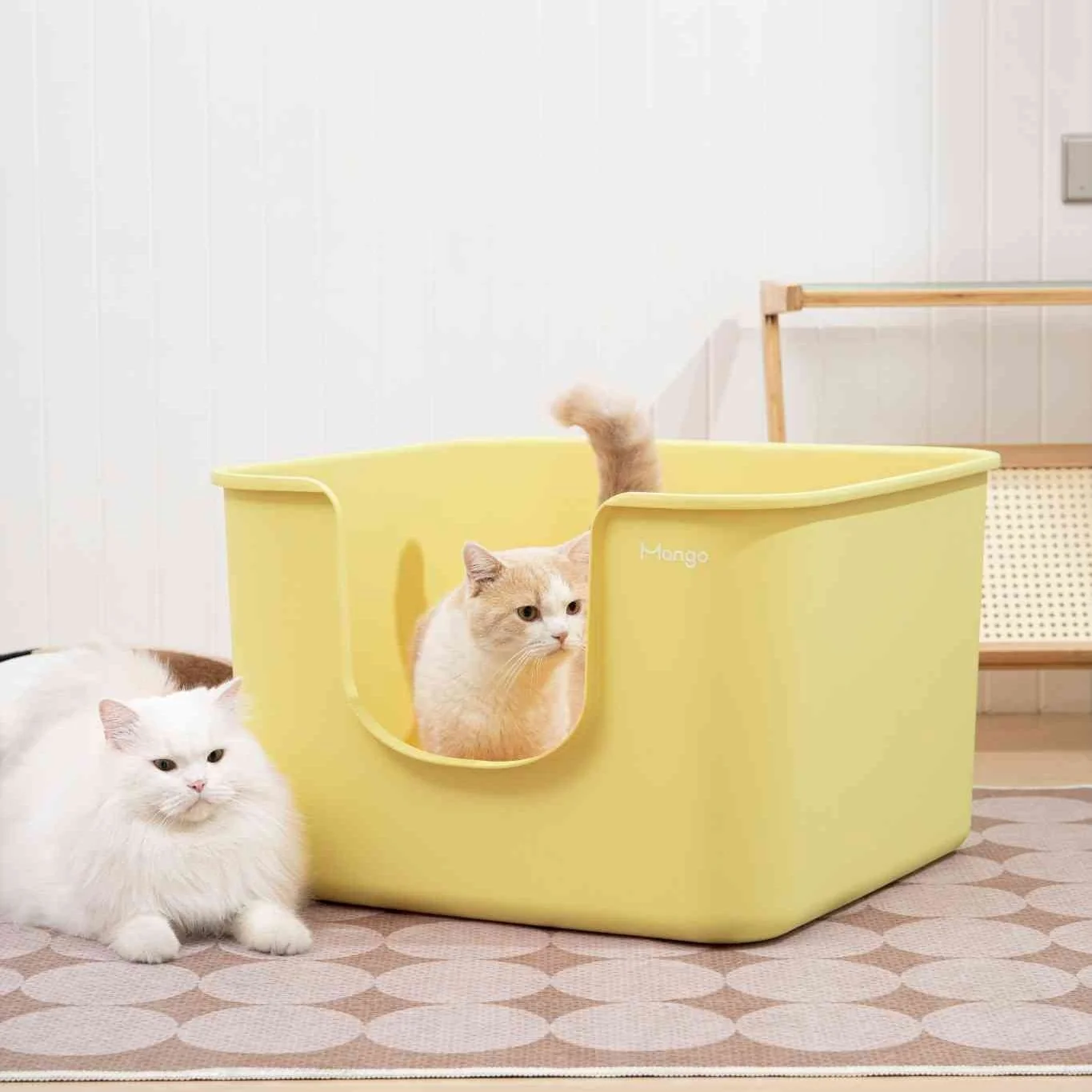 Mango Cube Litter Box XXL Set | High-sided Litter Box with Scoop, Storage & Step - Image 3