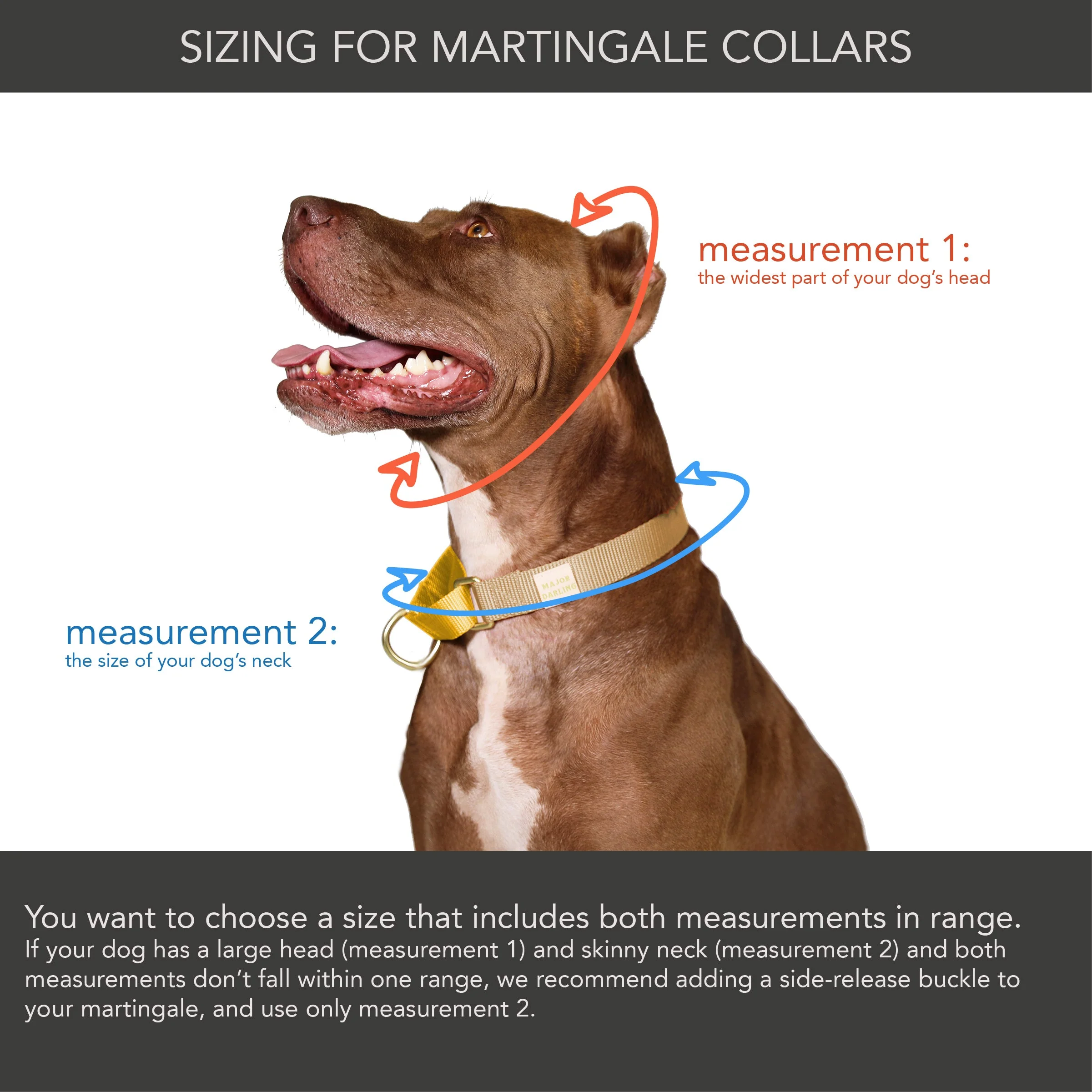 martingale collar / cobalt + navy - Image 5