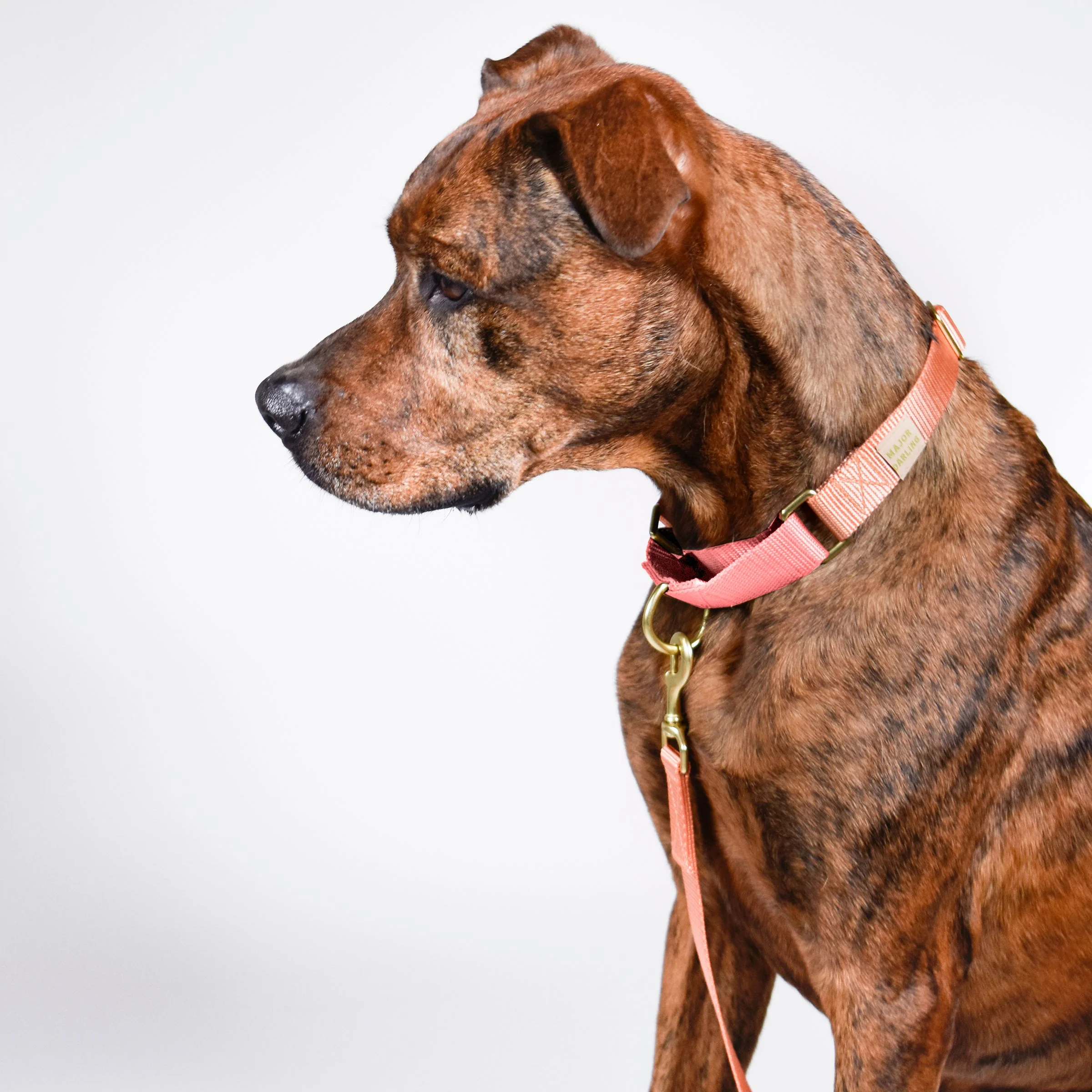 martingale collar / peach + pink - Image 2