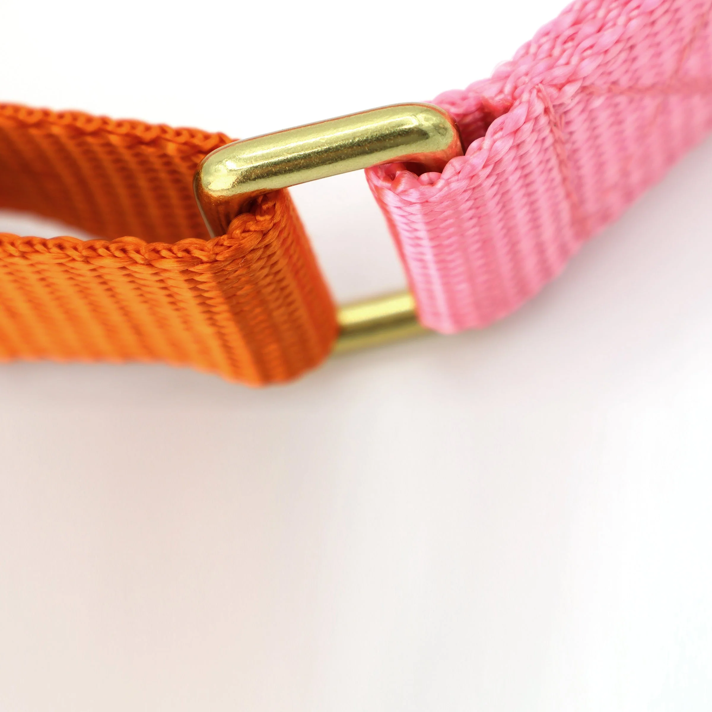martingale collar / pink + orange - Image 6
