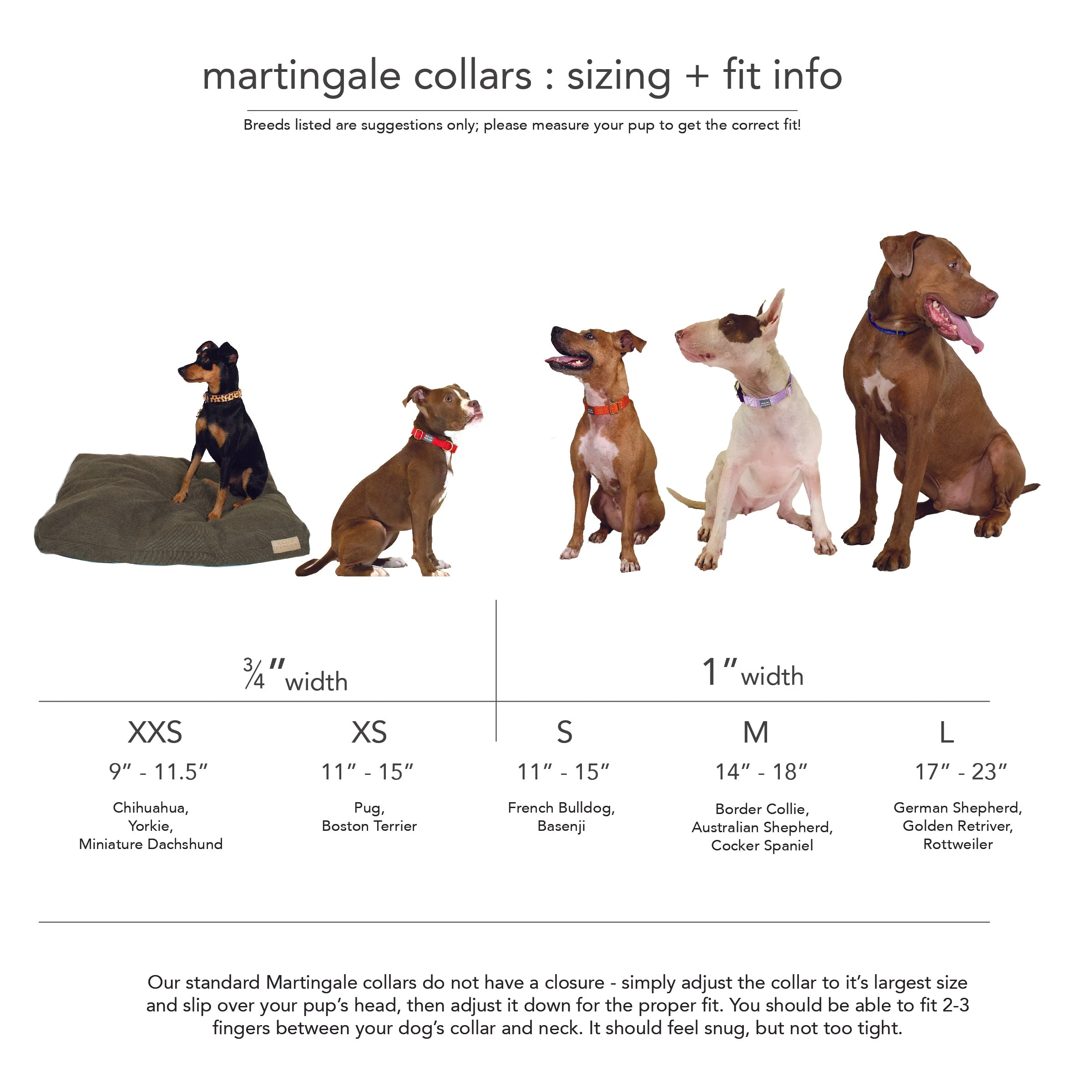 martingale collar / violet + teal - Image 3
