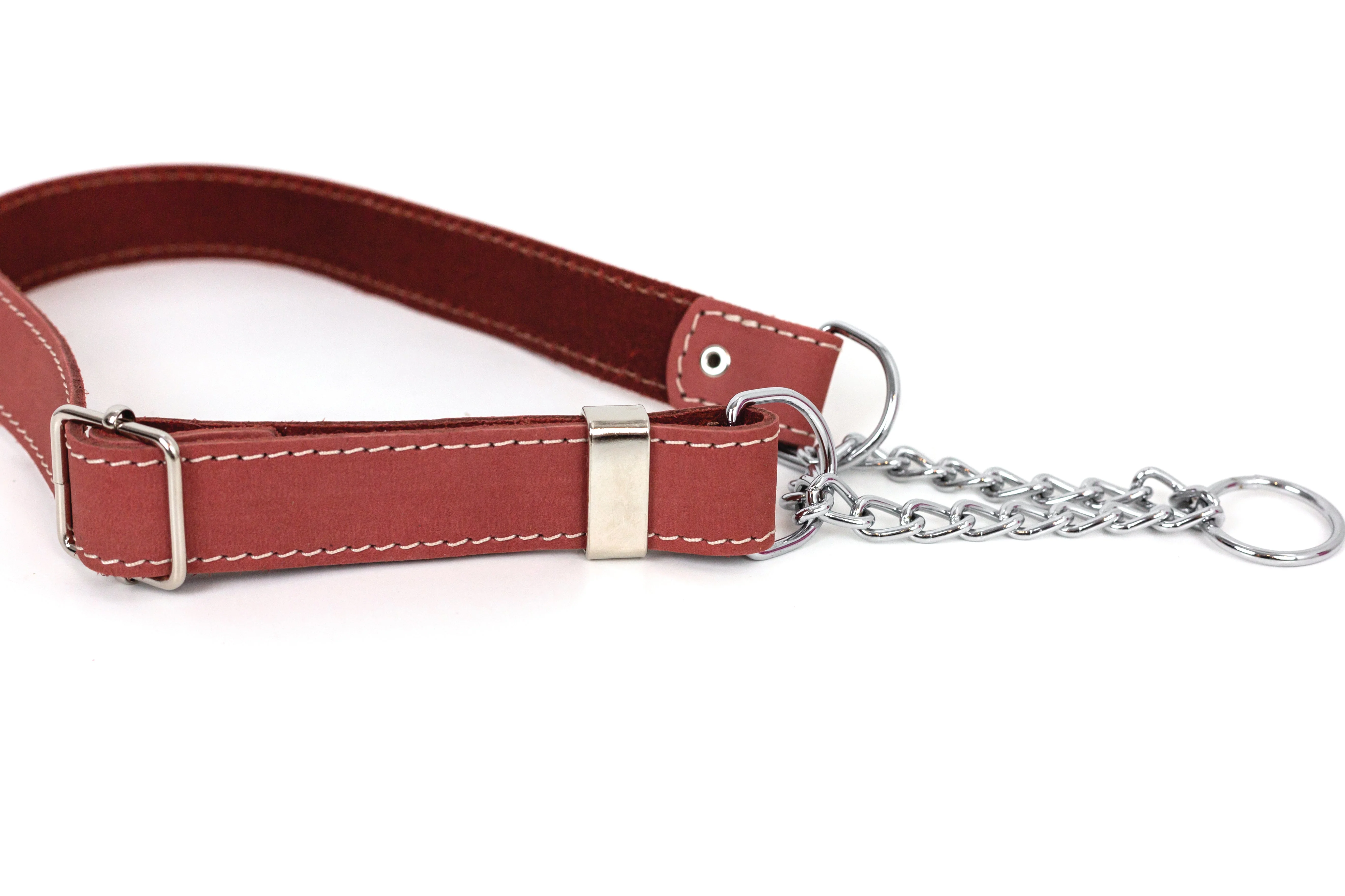 Martingale Coral Reef Leather Dog Collar - Image 2