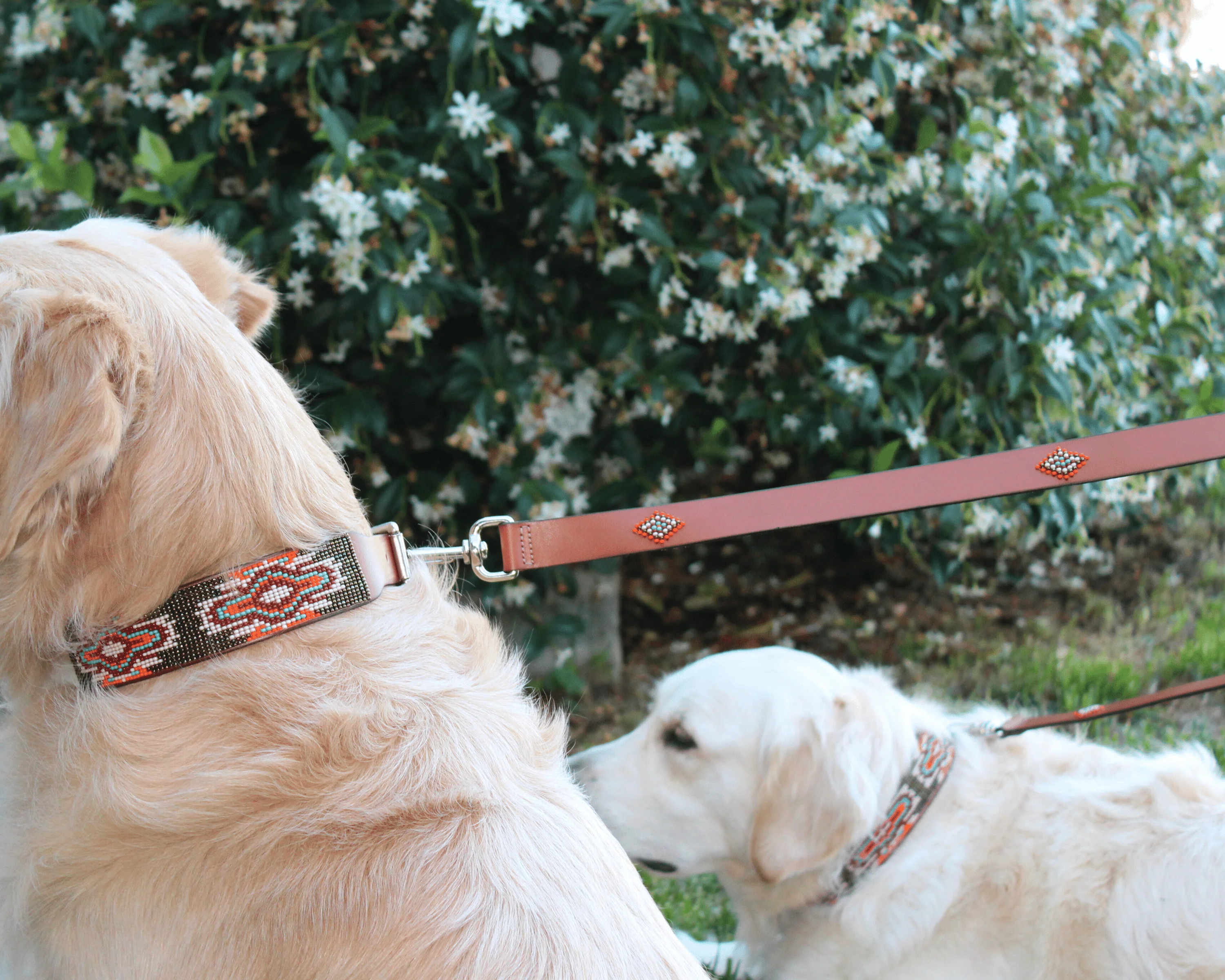 Matching leash/dog collar Boho Chic Sambboho Bundle - Image 3