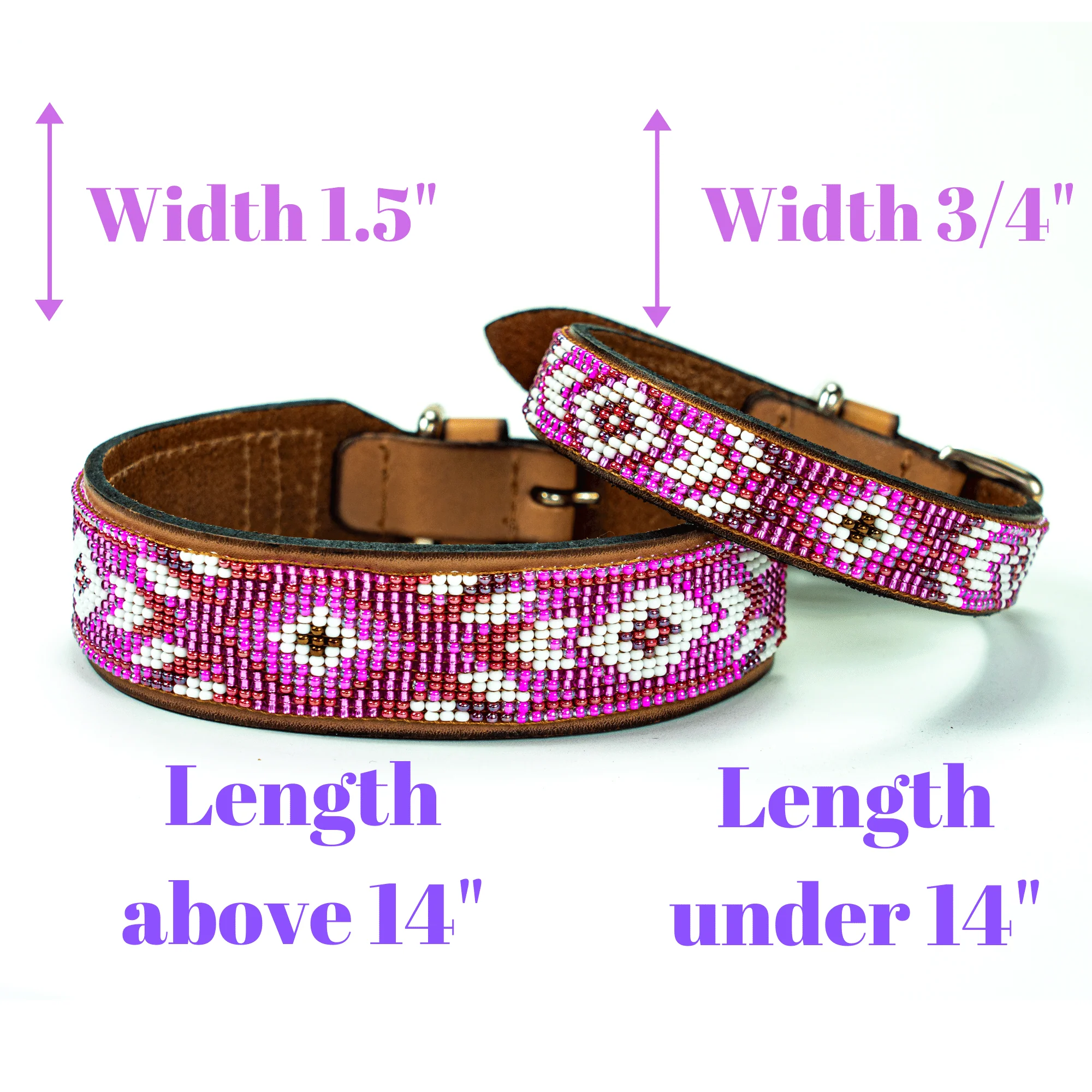 Matching leash/dog collar Melrose Sambboho Bundle - Image 4