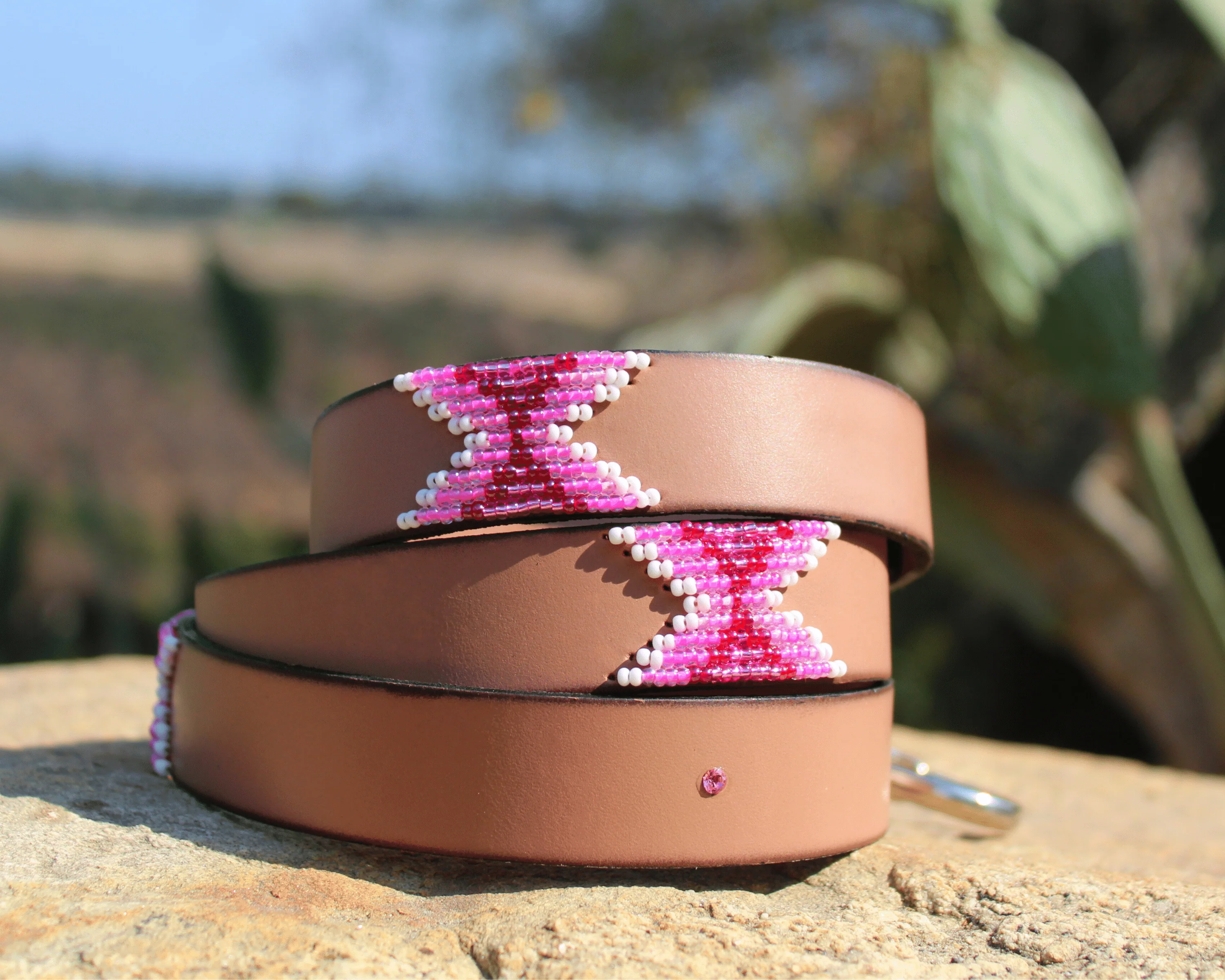 Matching leash/dog collar Melrose Sambboho Bundle - Image 5