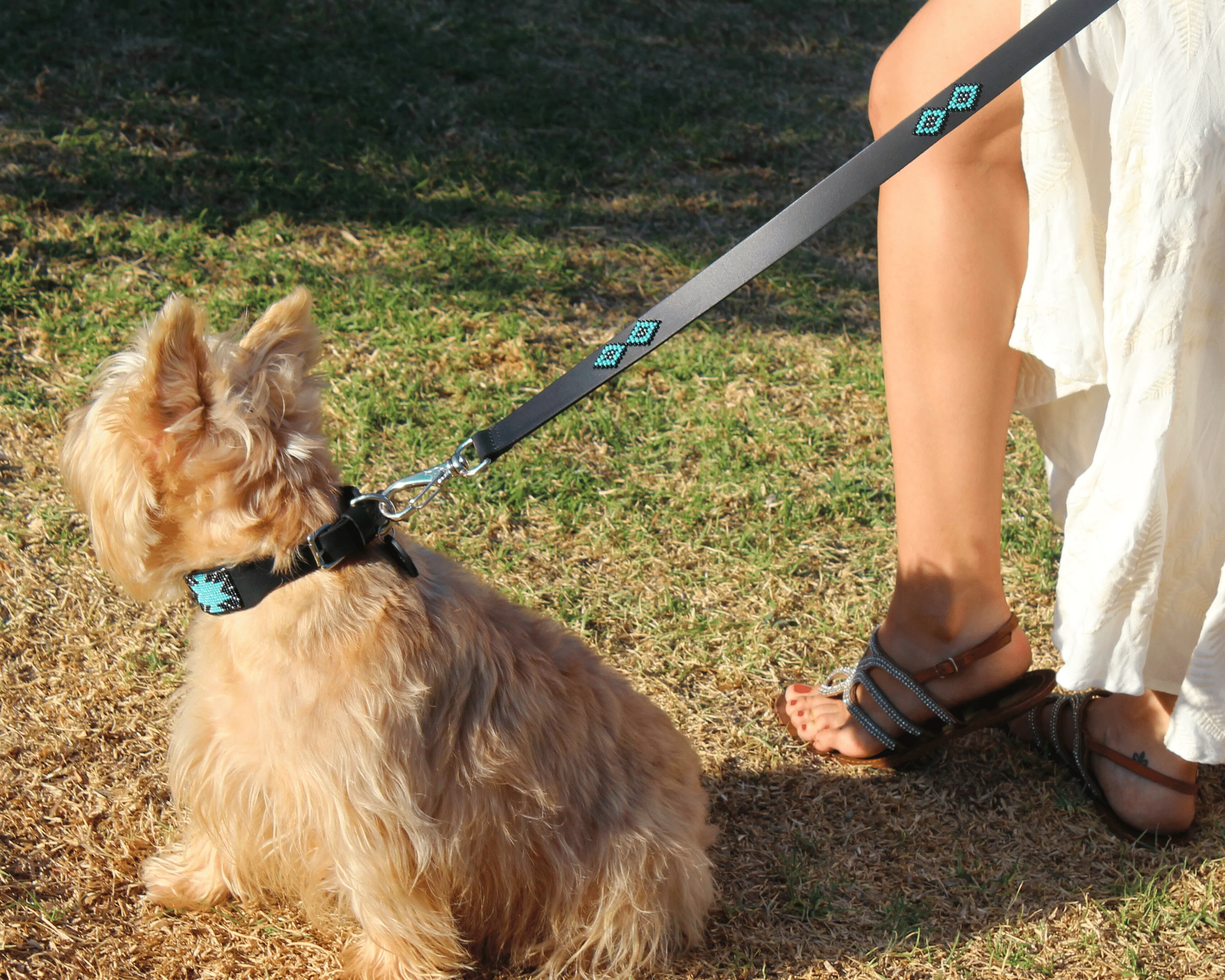 Matching leash/dog collar Saint Barth Sambboho Bundle - Image 5