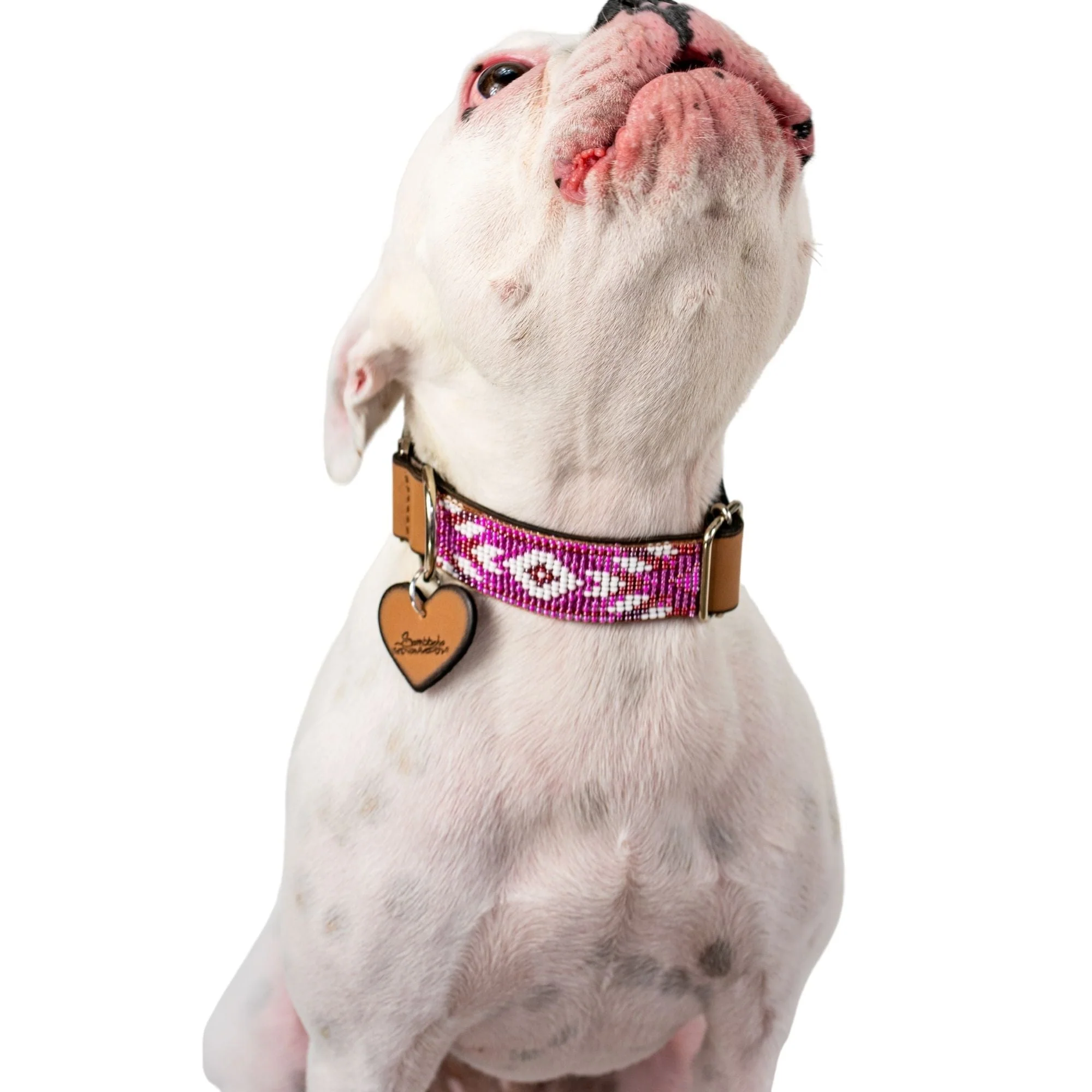 Melrose dog collar (quick release) - Image 5