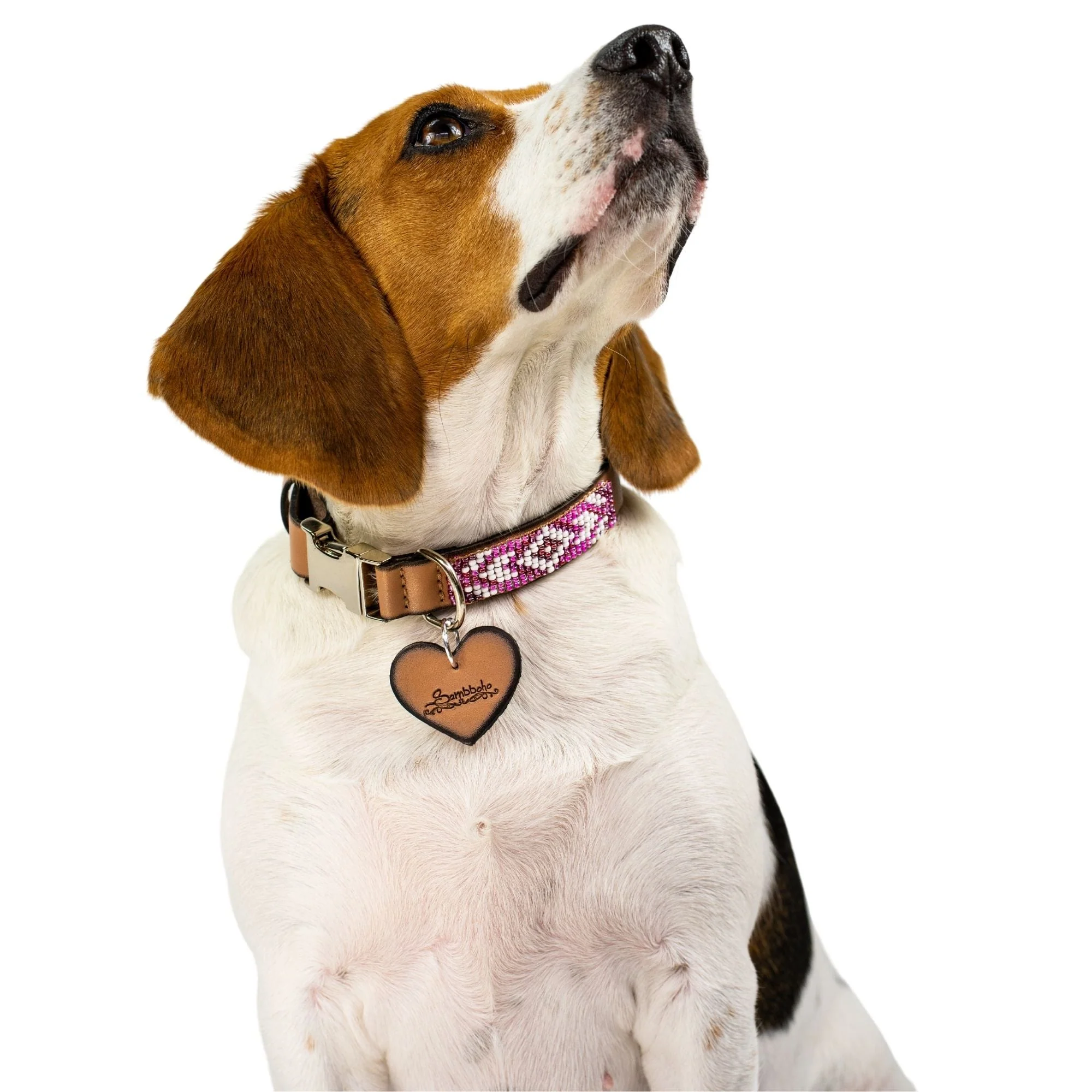 Melrose dog collar (quick release) - Image 7