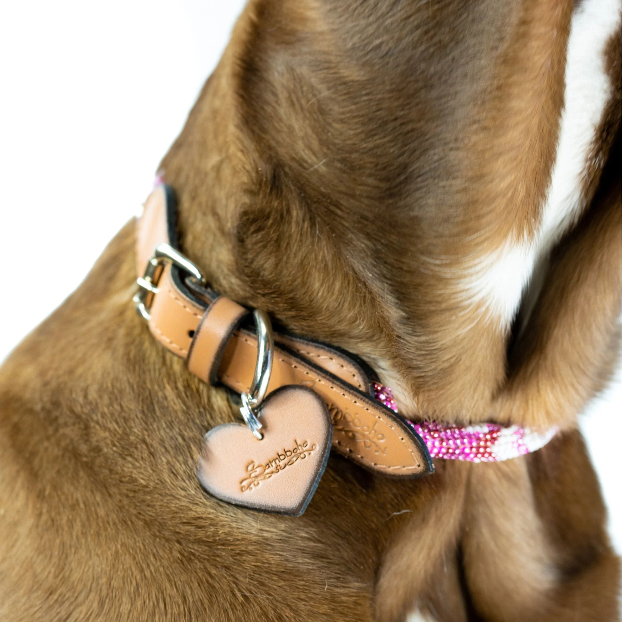 Melrose Sambboho dog collar (rolled) - Image 4