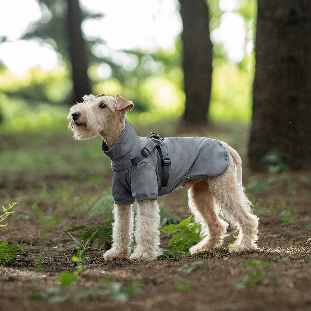 Milou & Lumi Dog Waterproof Reflective Jacket with Harness - Image 10