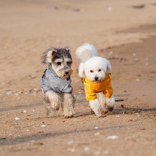 Milou & Lumi Dog Waterproof Reflective Jacket with Harness - Image 8