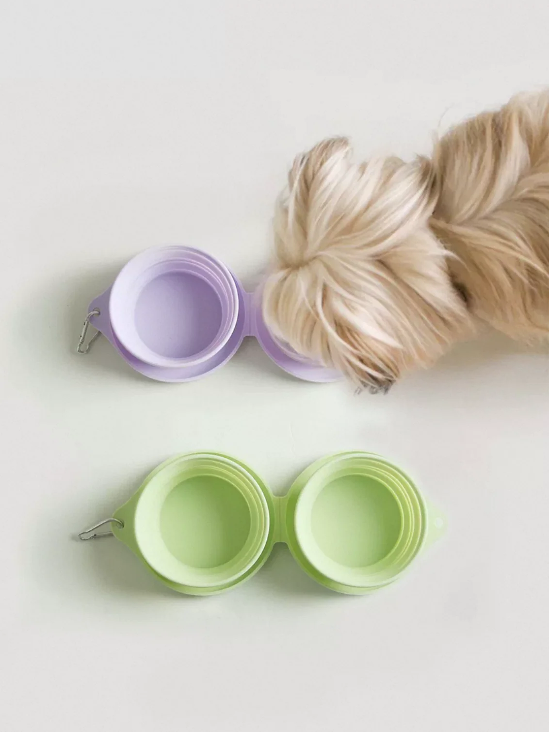 Milou & Lumi Foldable Pet Travel Bowl - Image 2