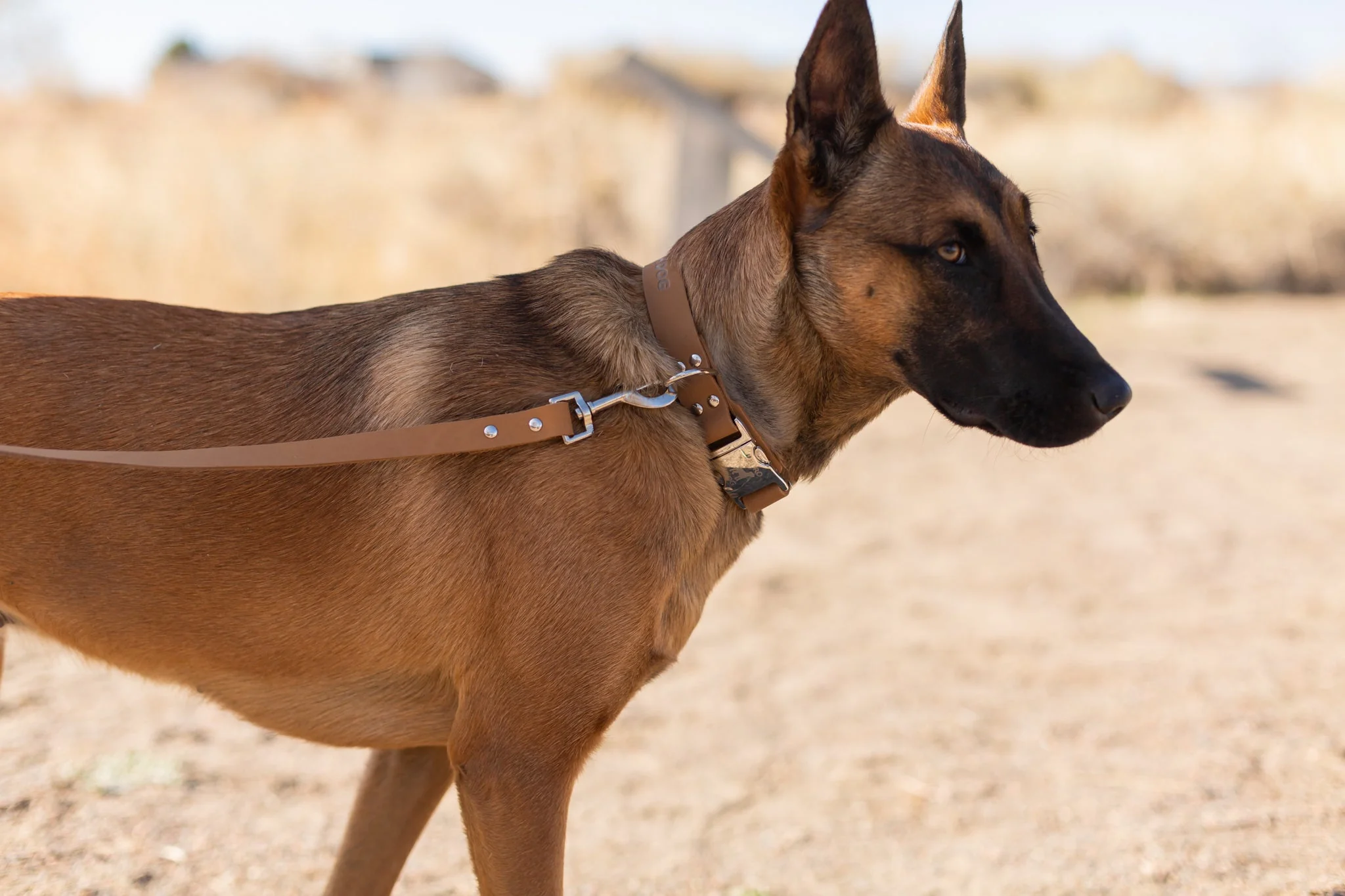 Modern Style Khaki Leather Leash - Image 2