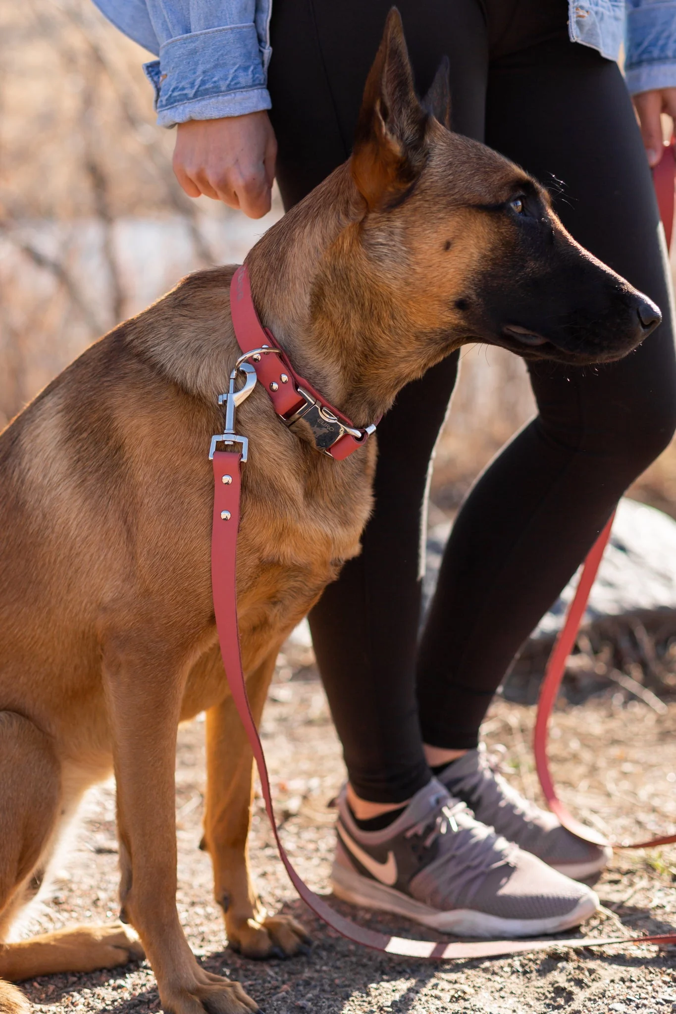 Modern Style Quick-Release Coral Reef Leather Dog Collar - Image 4
