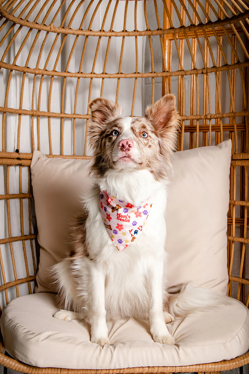 Mom's Best Friend Dog Bandana - Image 5