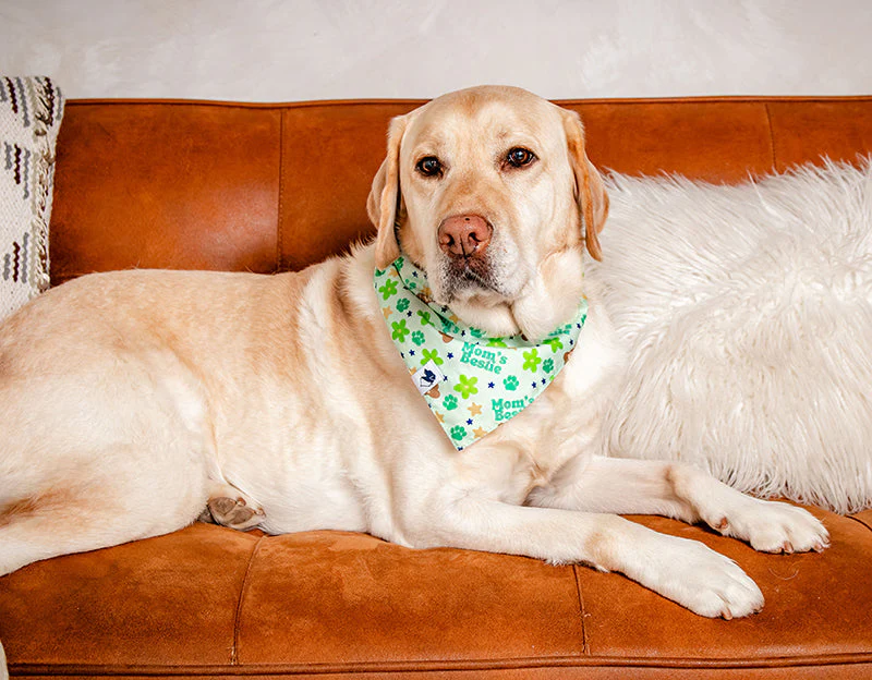 Mom's Best Friend Dog Bandana - Image 6