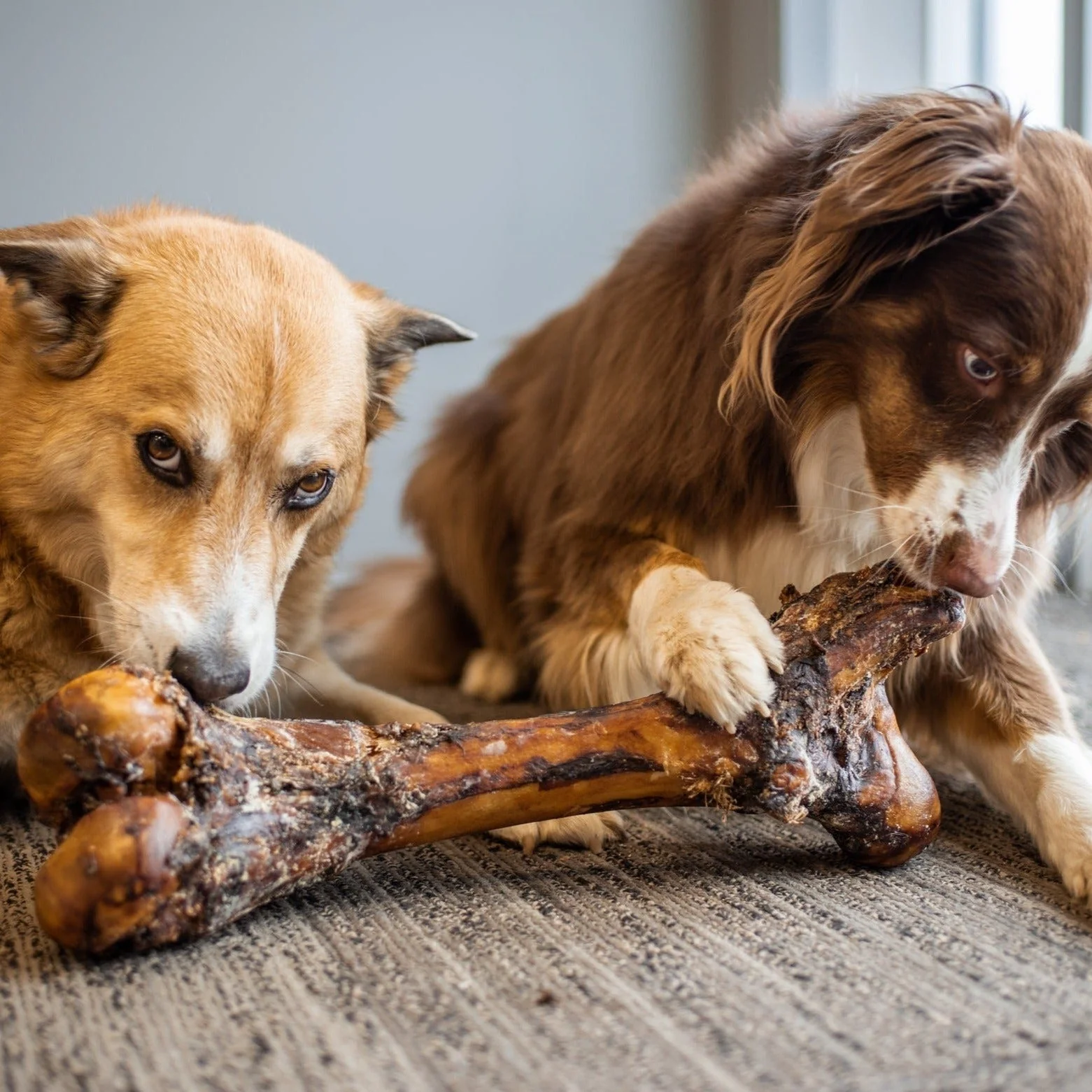Monster Femur Bone - Image 3