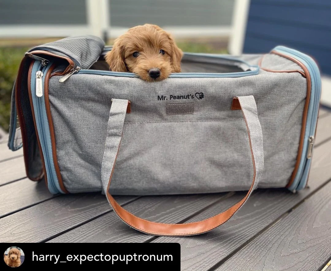 Mr. Peanut's Gold Series Big Apple XL Expandable Pet Carrier V3.0 - Image 11