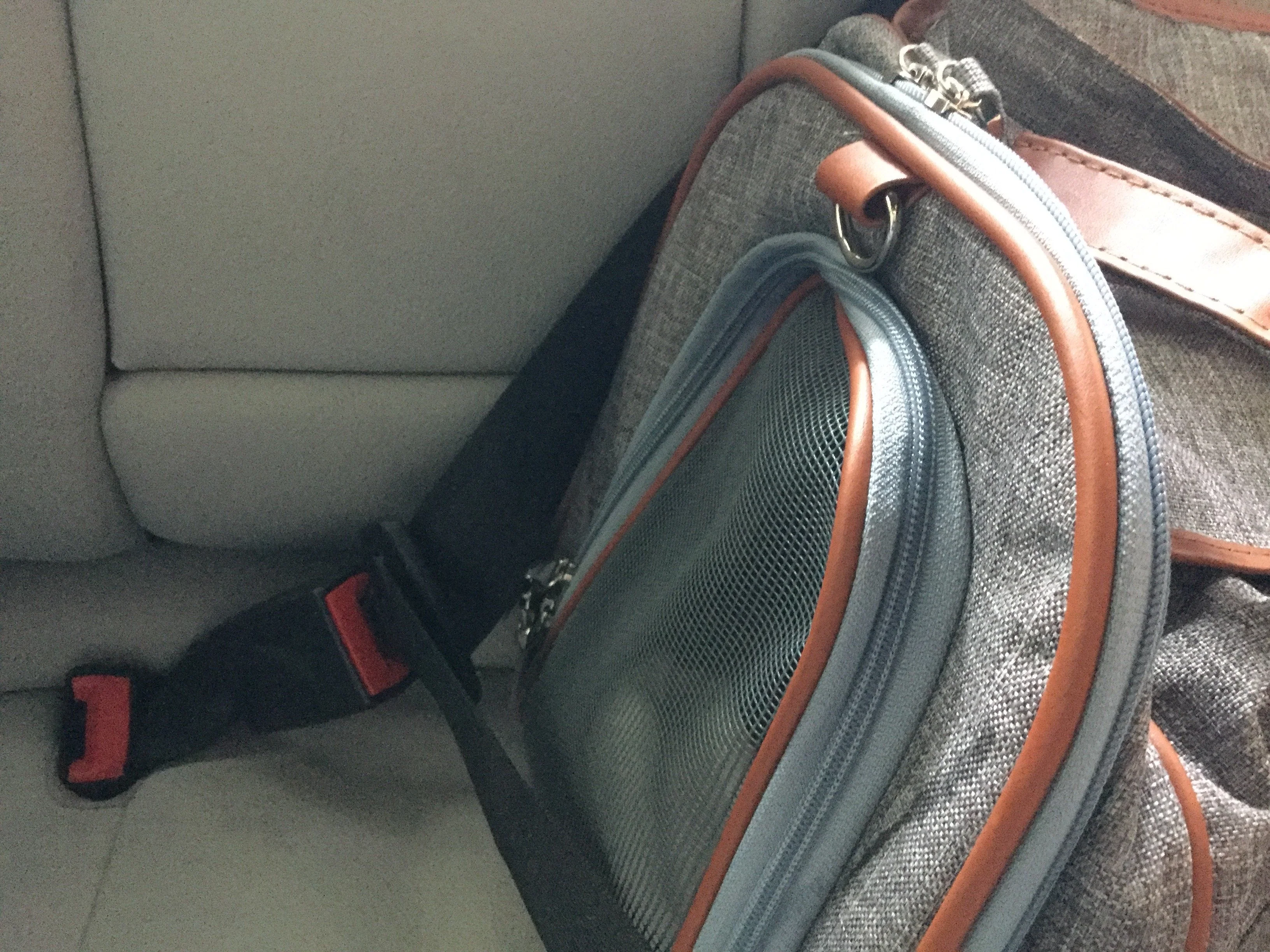 Mr. Peanut's Gold Series Big Apple XL Expandable Pet Carrier V3.0 - Image 13