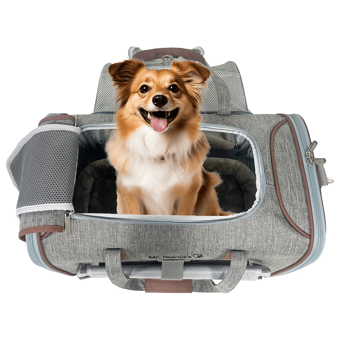 Mr. Peanut's Gold Series Standard Size Airline Compliant Expandable Pet Carrier V3.0 - Image 21