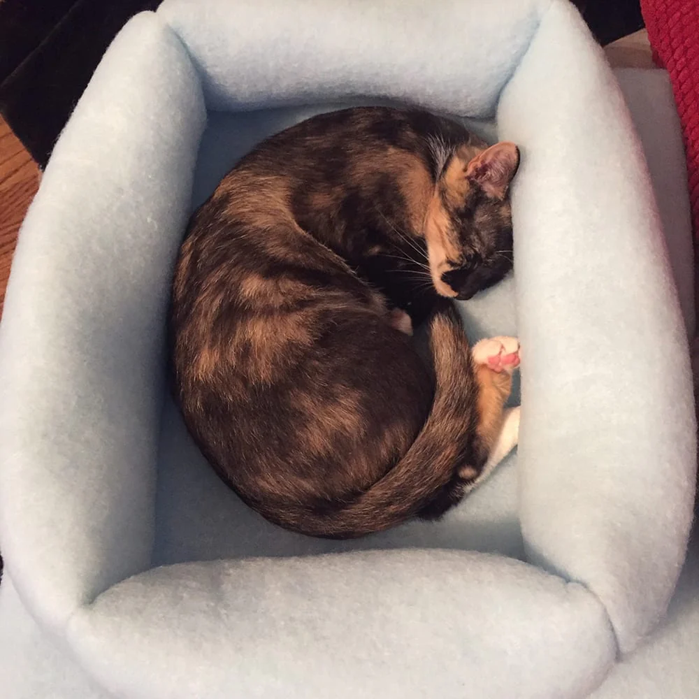 Kitty Kuddler Nesting Cat Bed - Image 2