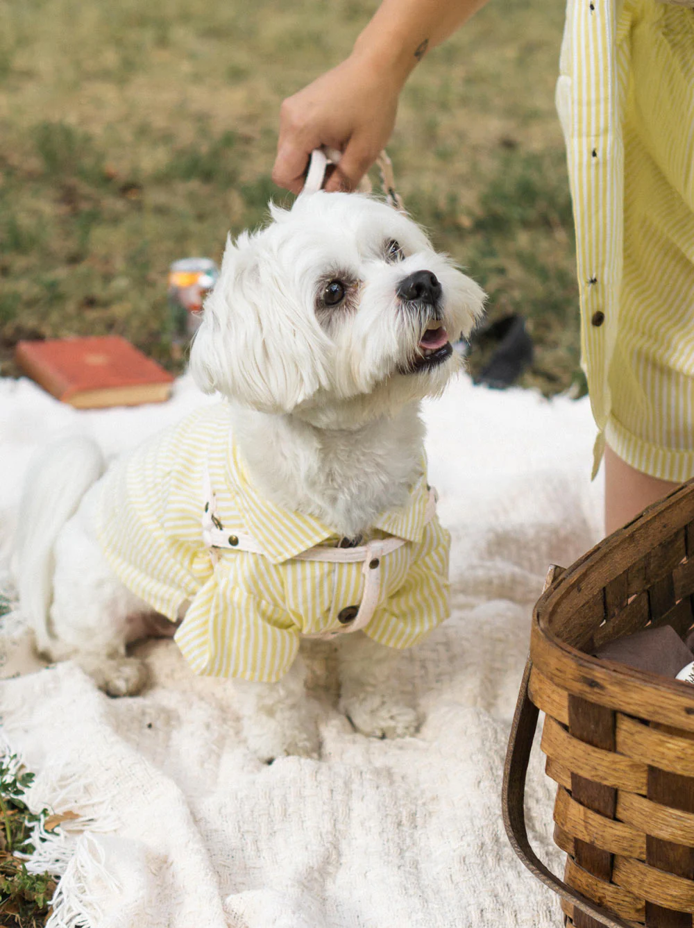 Nantucket Set - Image 6