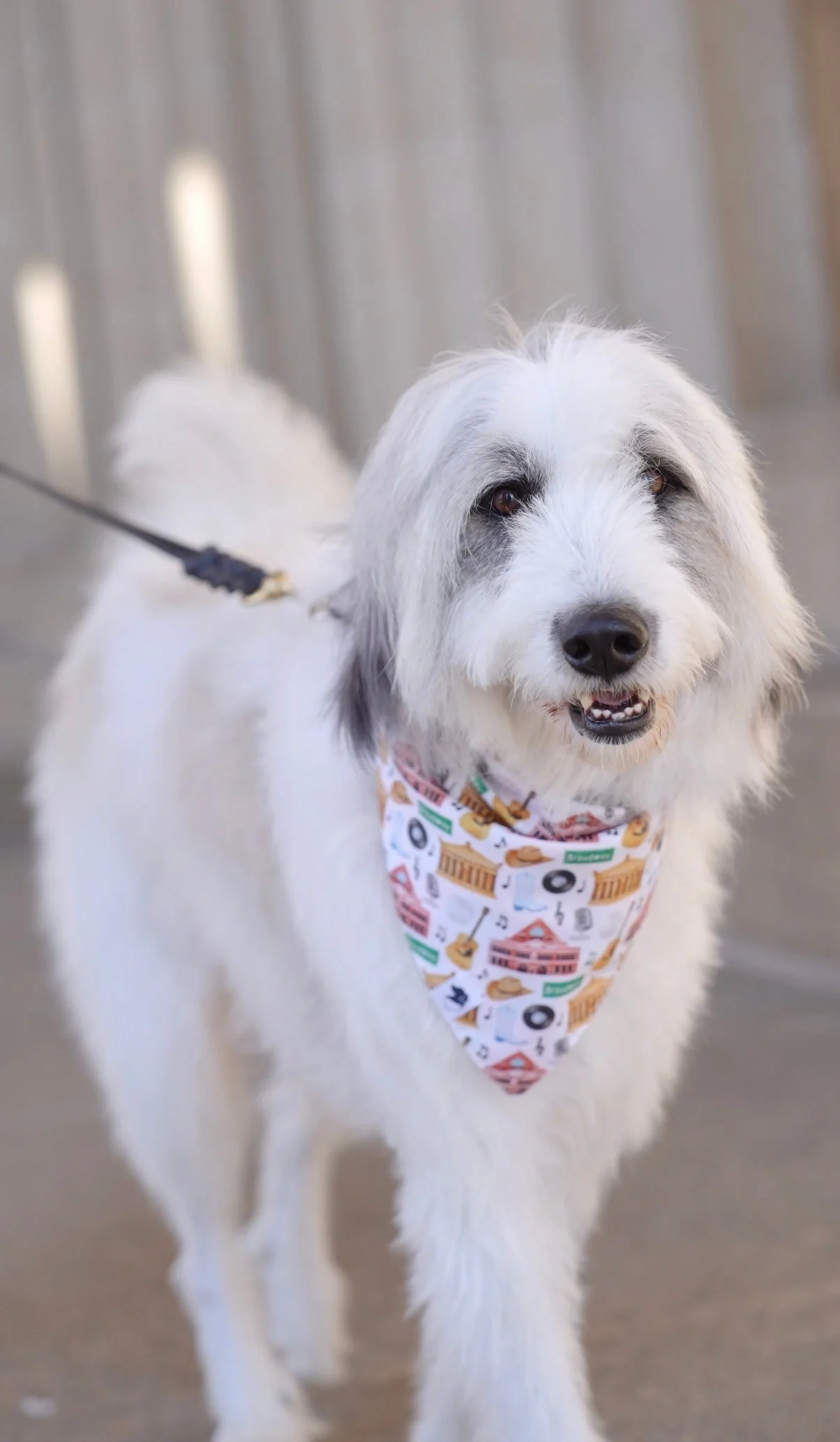 Nashville Tennessee Dog Bandana - Image 3