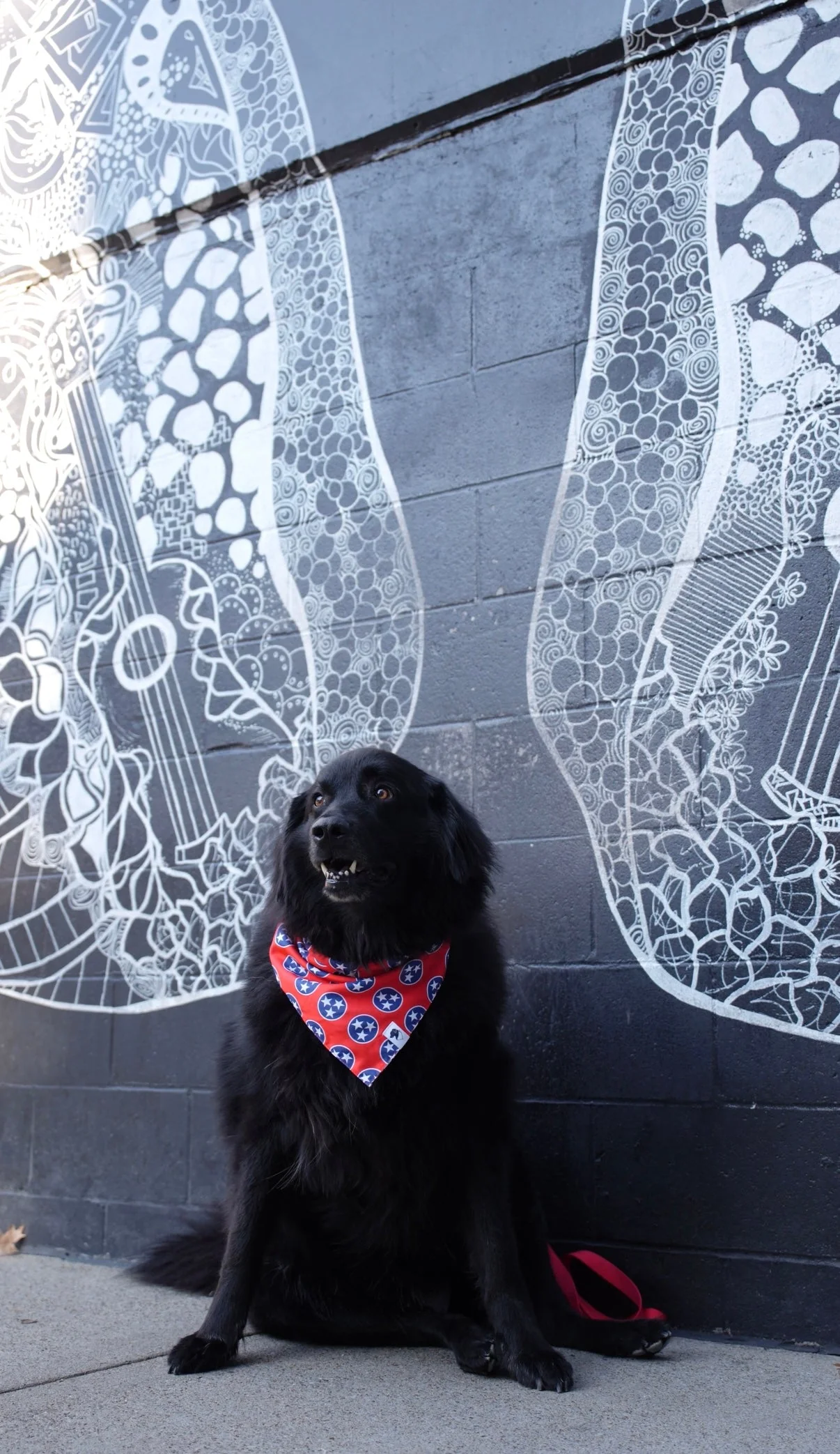 Nashville Tennessee Dog Bandana - Image 4