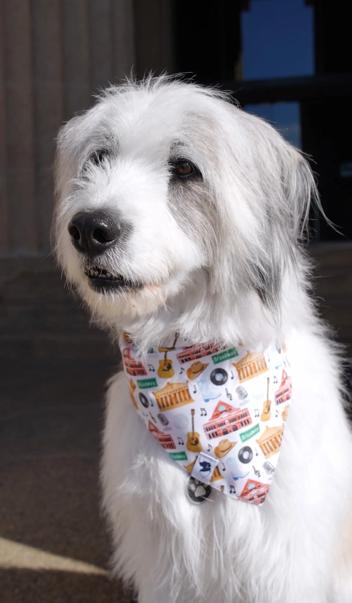 Nashville Tennessee Dog Bandana - Image 5